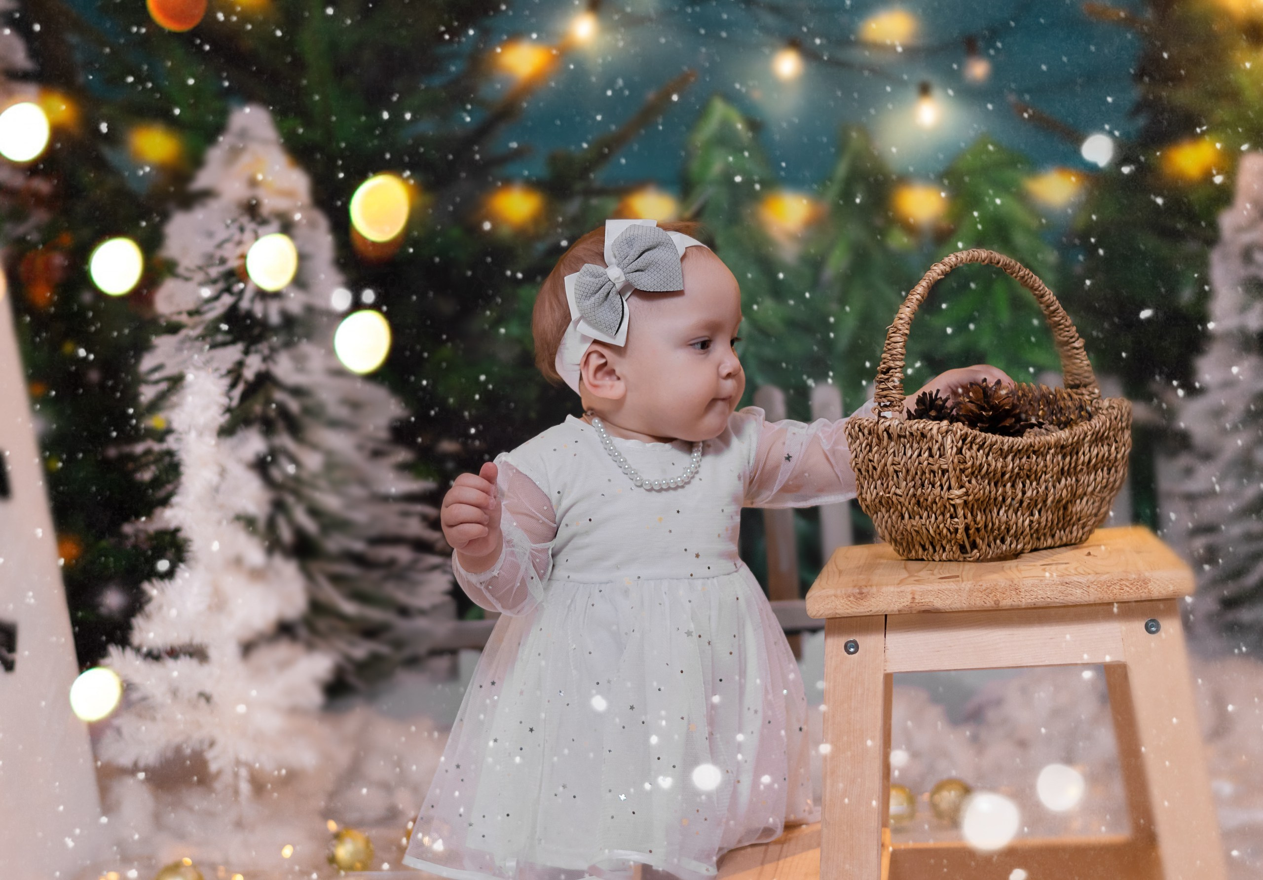 НОВОГОДНИЕ. Фотосалон Рудня. Волгоградская область. Фотограф Вера