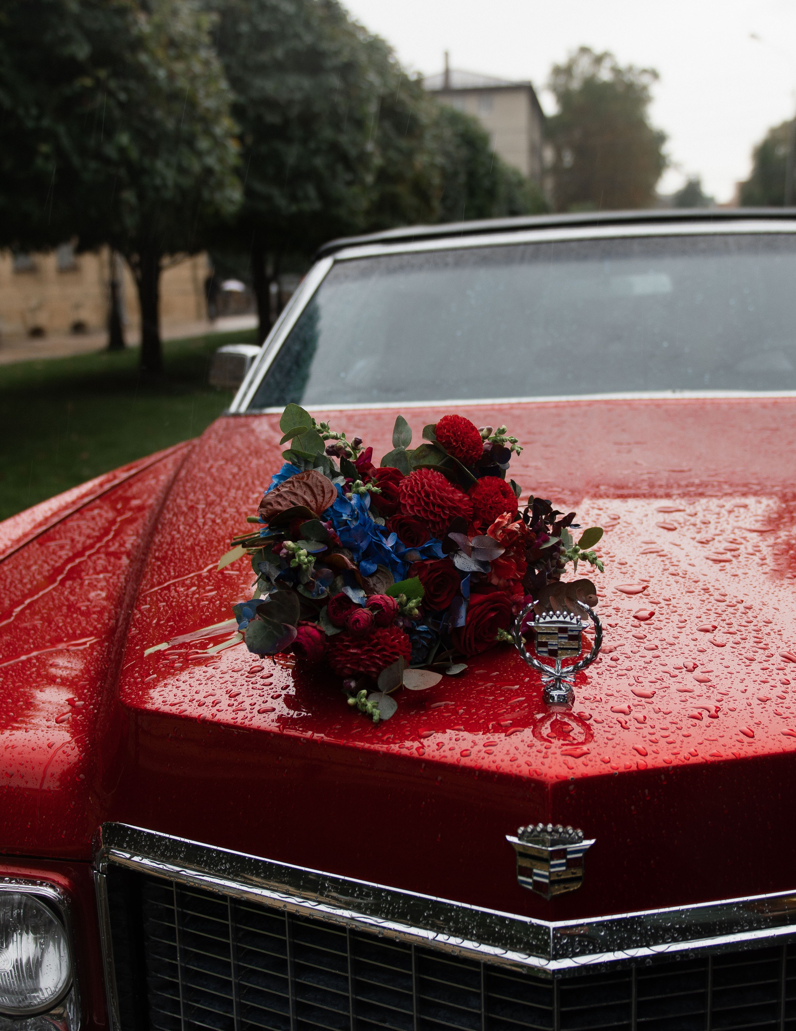 Люблю тебя до луны и обратно. Свадебный и женский фотограф в Ставрополе Вика Лексеева