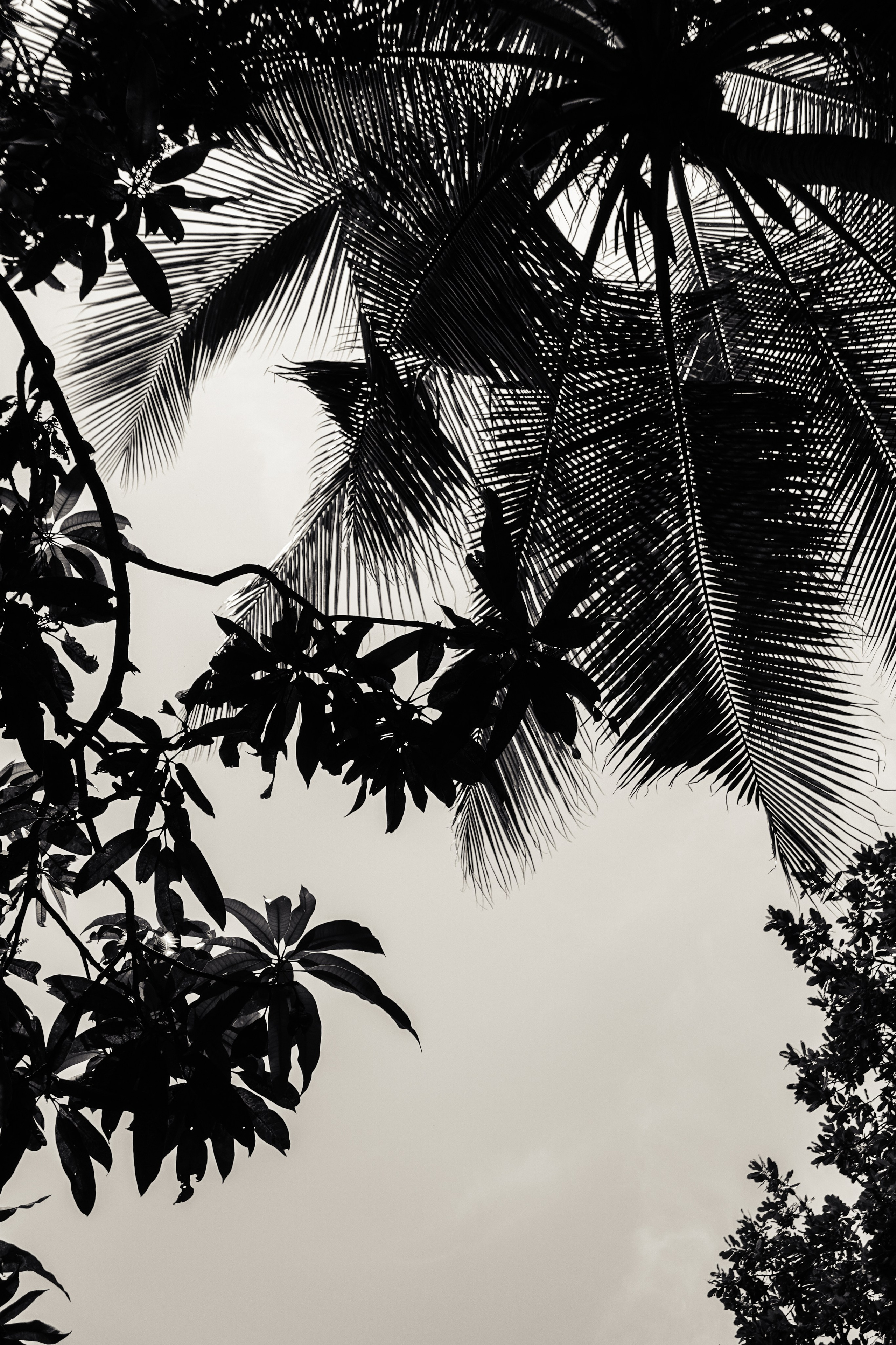 Шри-Ланка. Фотограф Алиса Аспер