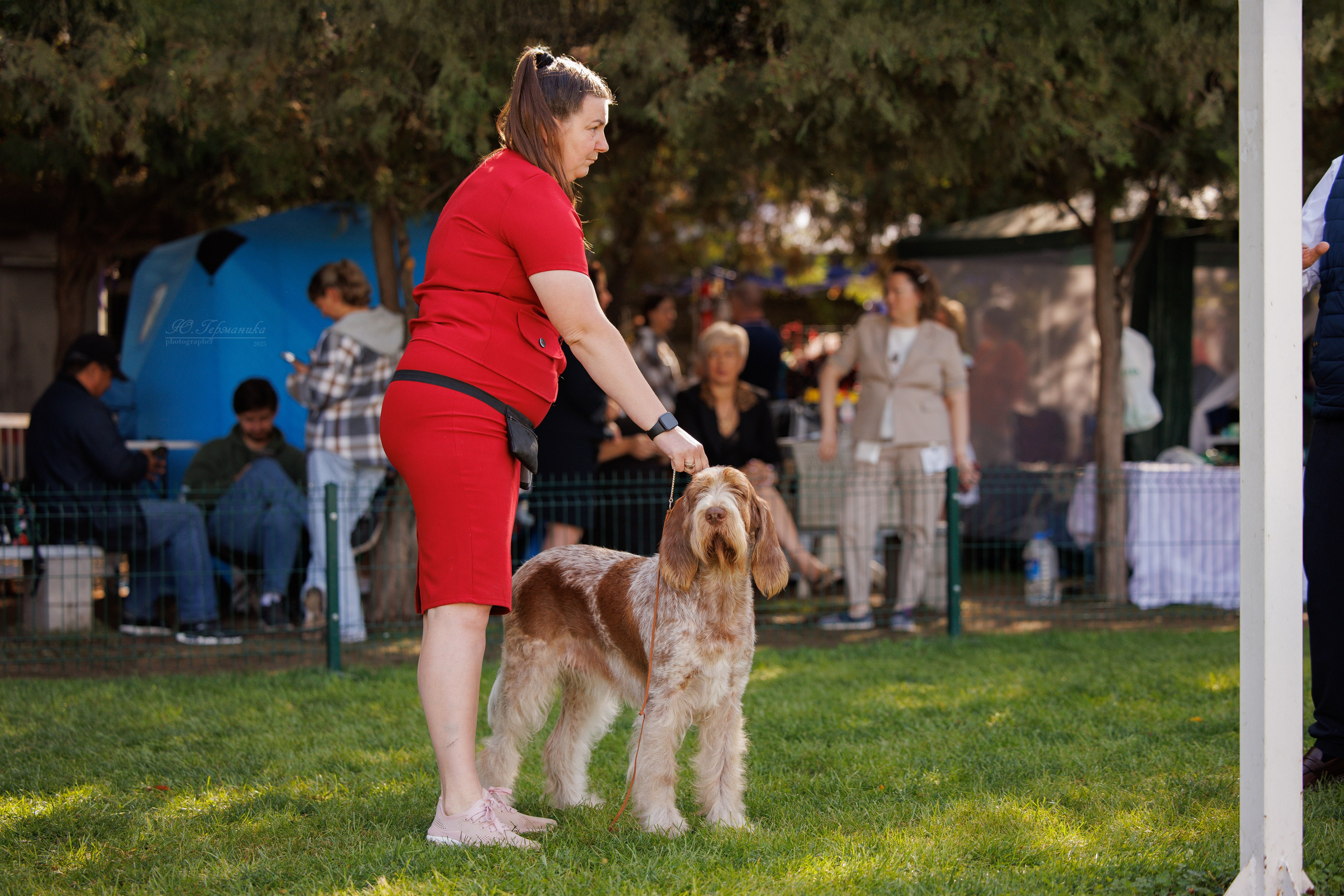 Бишкек 3х CACIB 26-28.09.2025. Фотограф-анималист Юлия Германика