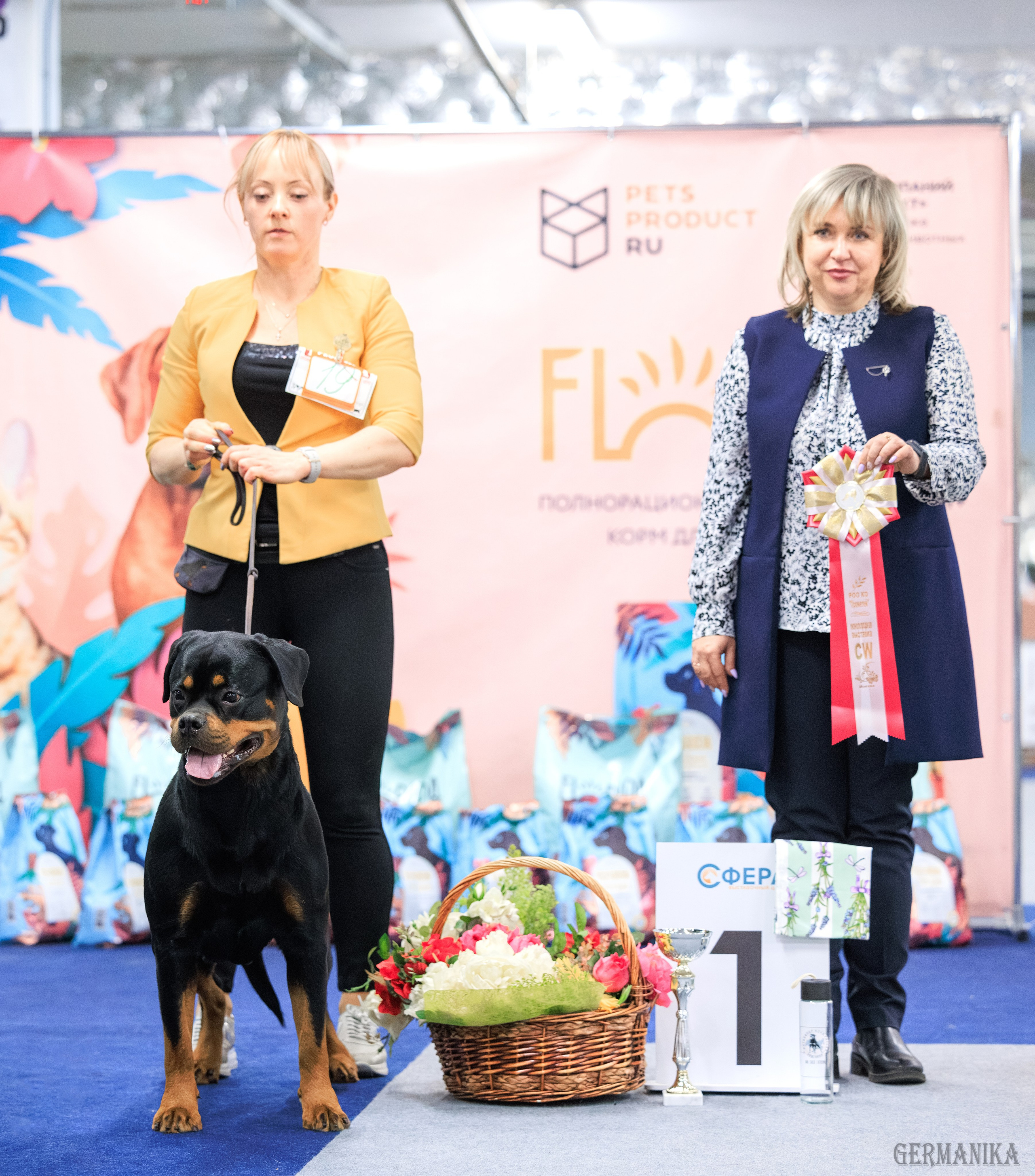 Сфера 08 и 10.03.2024 2хмоно ротвейлеров+2хмоно сао. Фотограф-анималист Юлия Германика