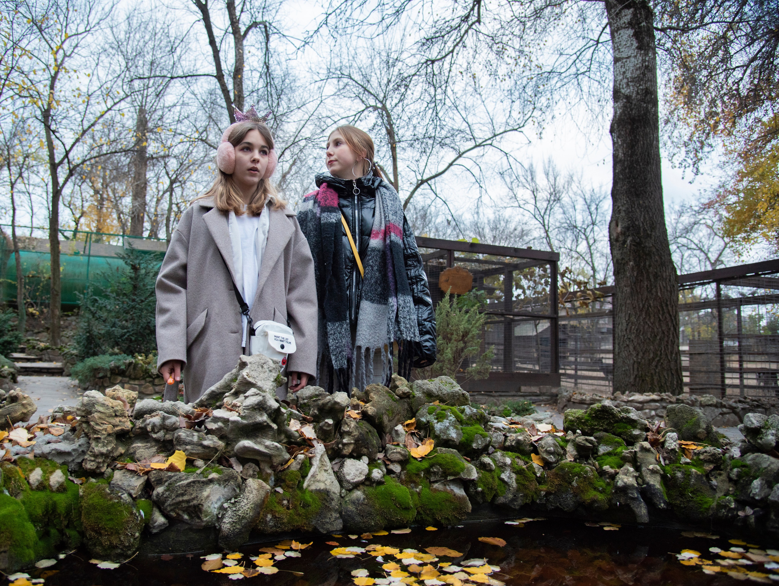 две девушки широкий угол. осень