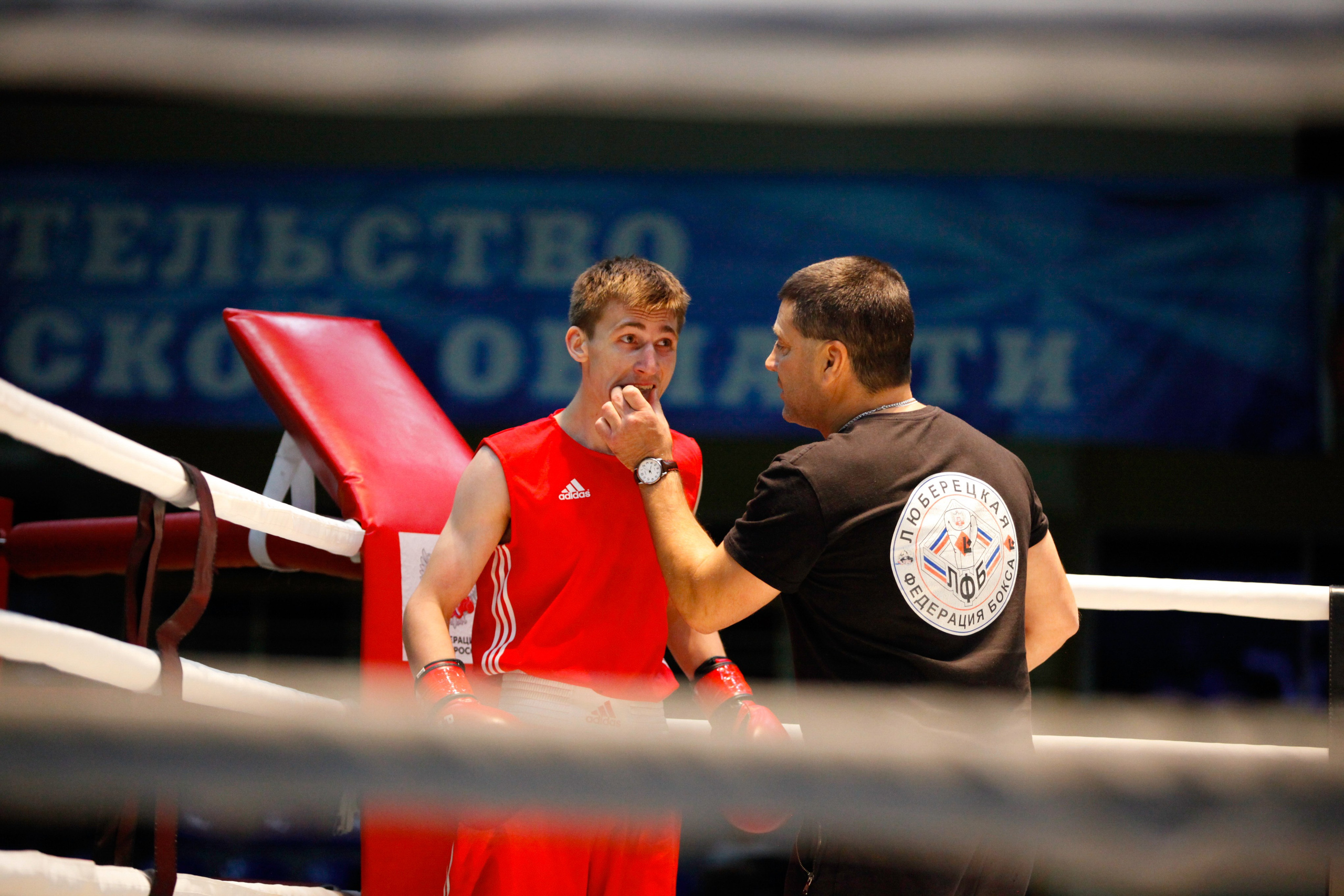 БОКС. Фото. Спортивный фотограф, трансляция, звук и свет в Новосибирске