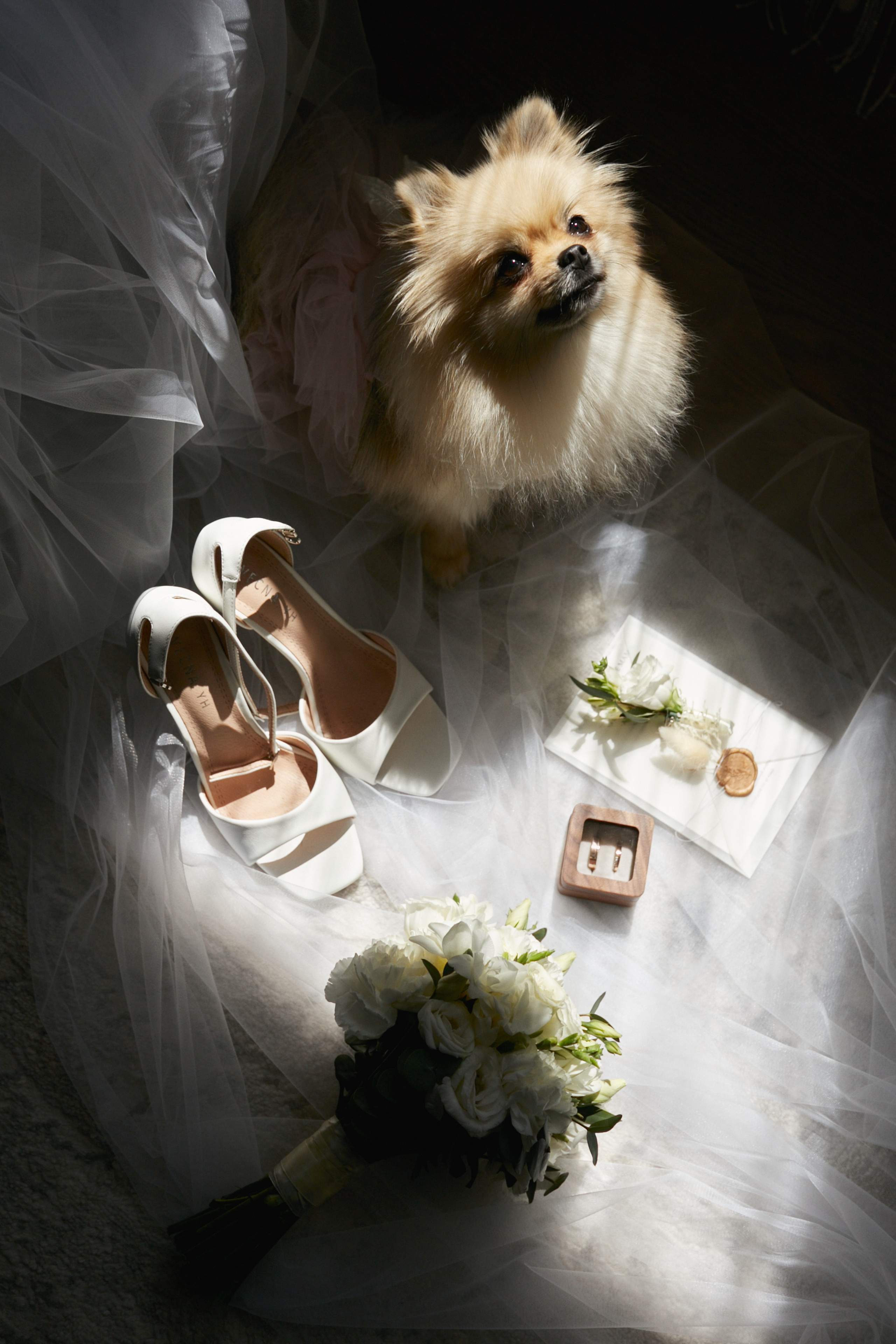 Карина и Рома. 25.07.2025. Алина Каравайцева. Фотограф в городе Барнаул