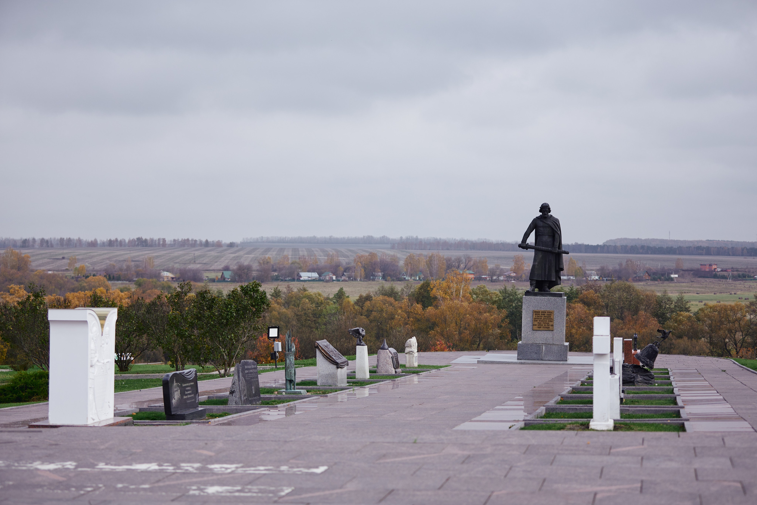 Акция «Зелёная Дубрава» на Куликовом поле. Даниил Гузиенко — репортажный фотограф в Туле