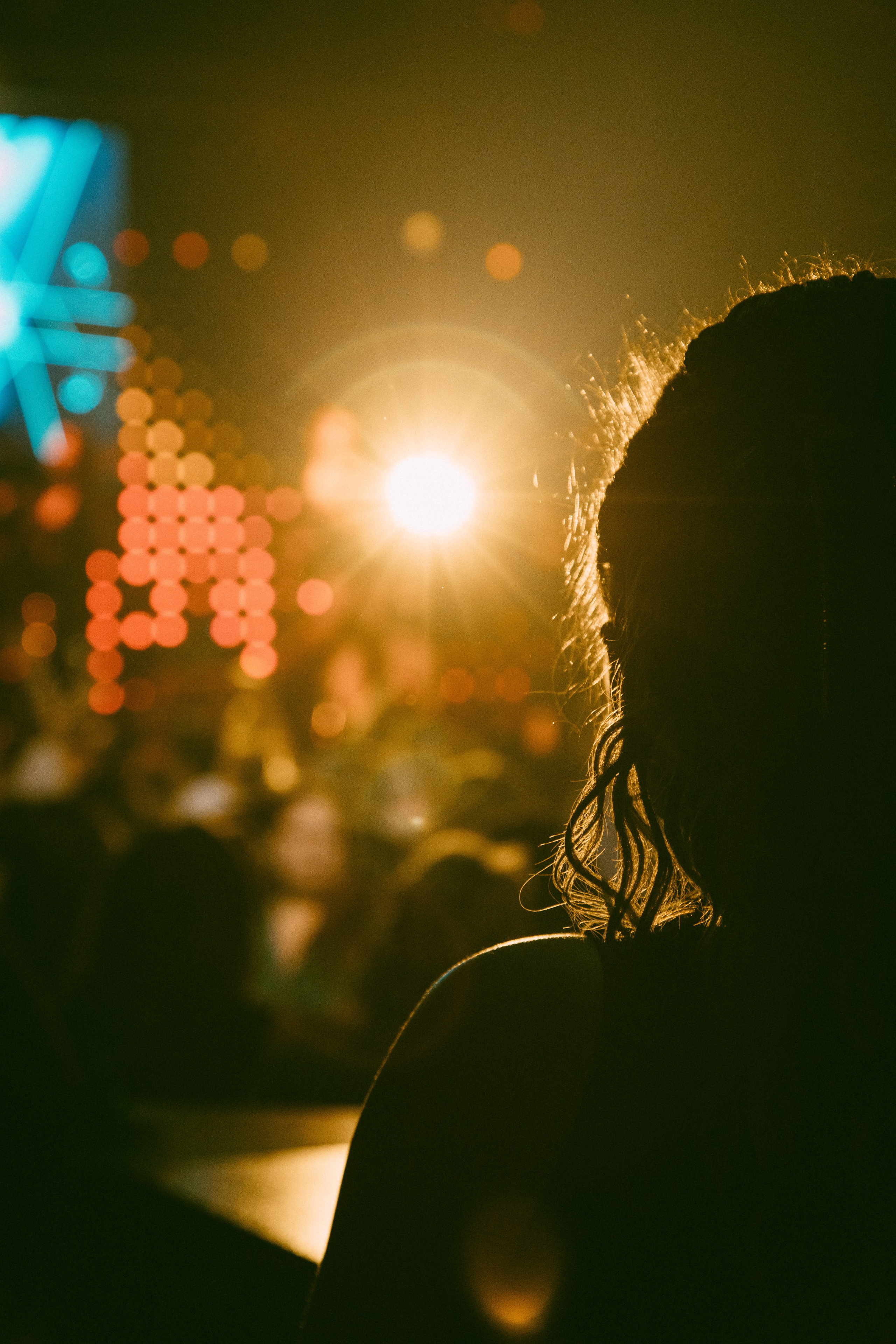 Miss Bikini Flex Gym 2024. Фотограф Семён Гнеушев