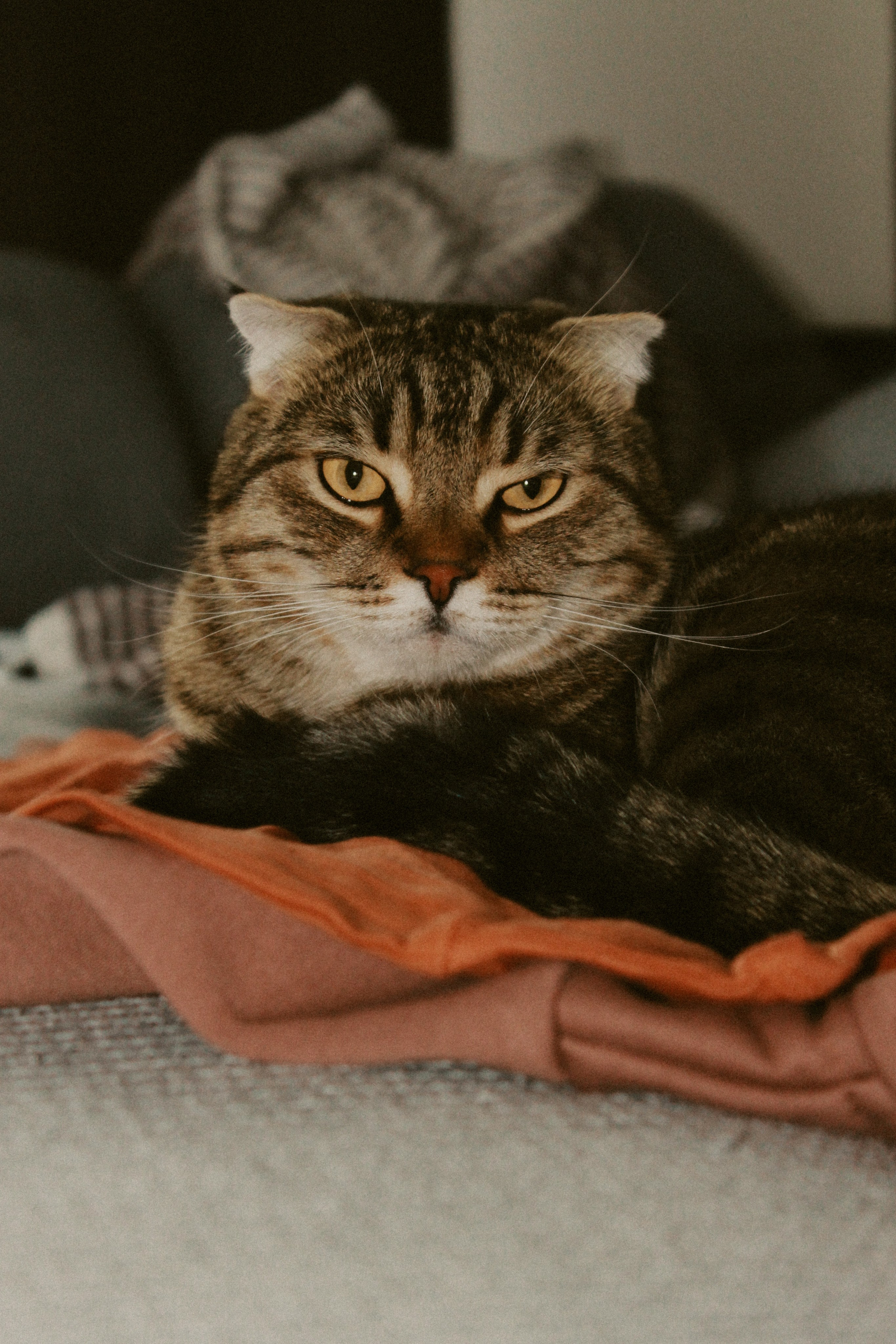 В гостях у Егора. Inga Simonova | Семейный и детский фотограф у моря