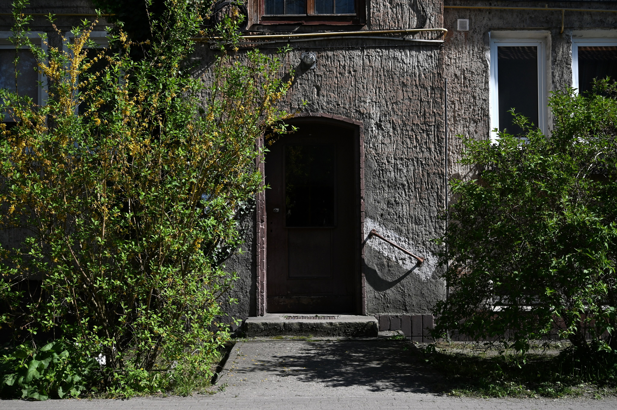 Пейзаж. Дмитрий Старков — фотограф