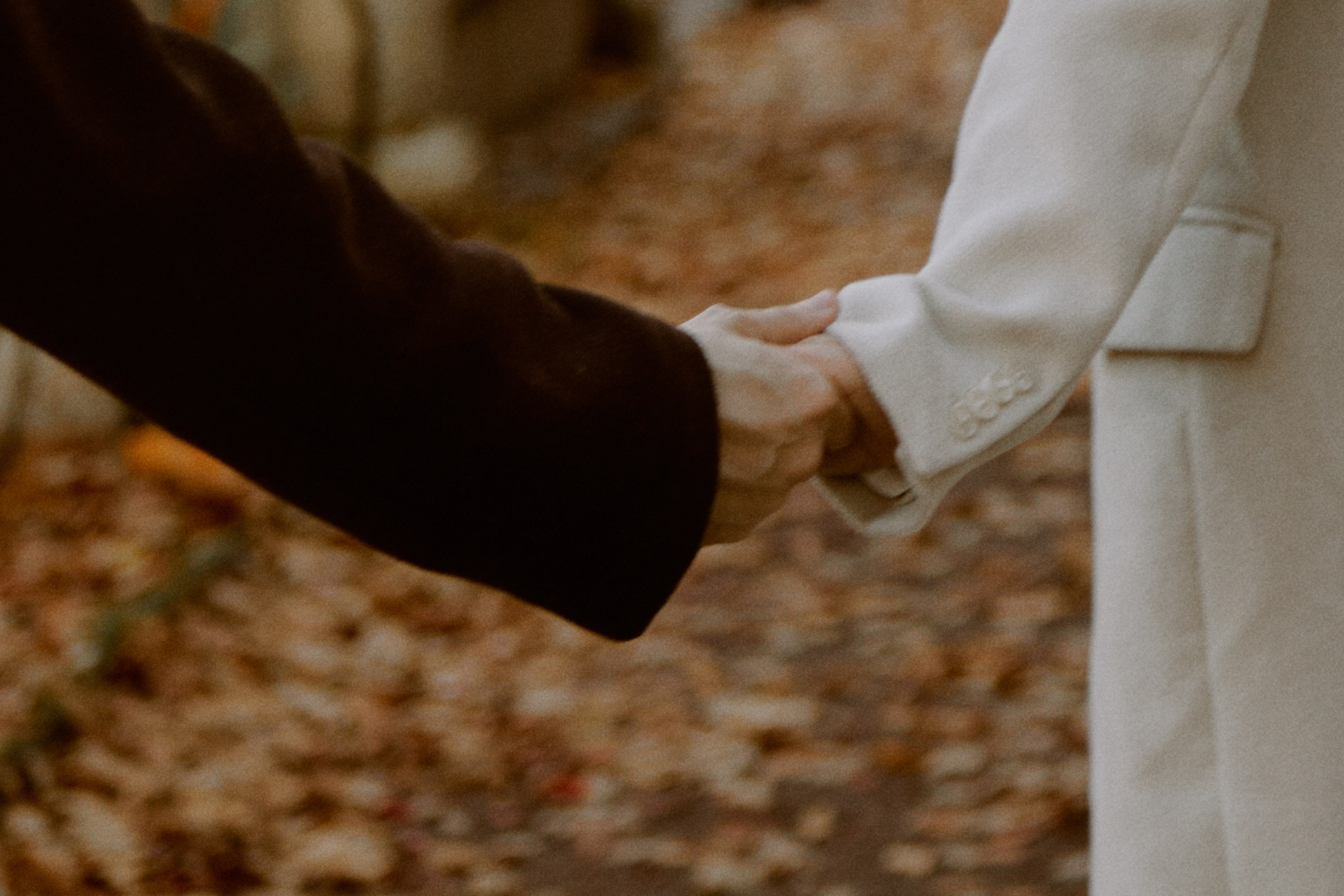 Ораниенбаум. Фотограф Елена Краснопевцева