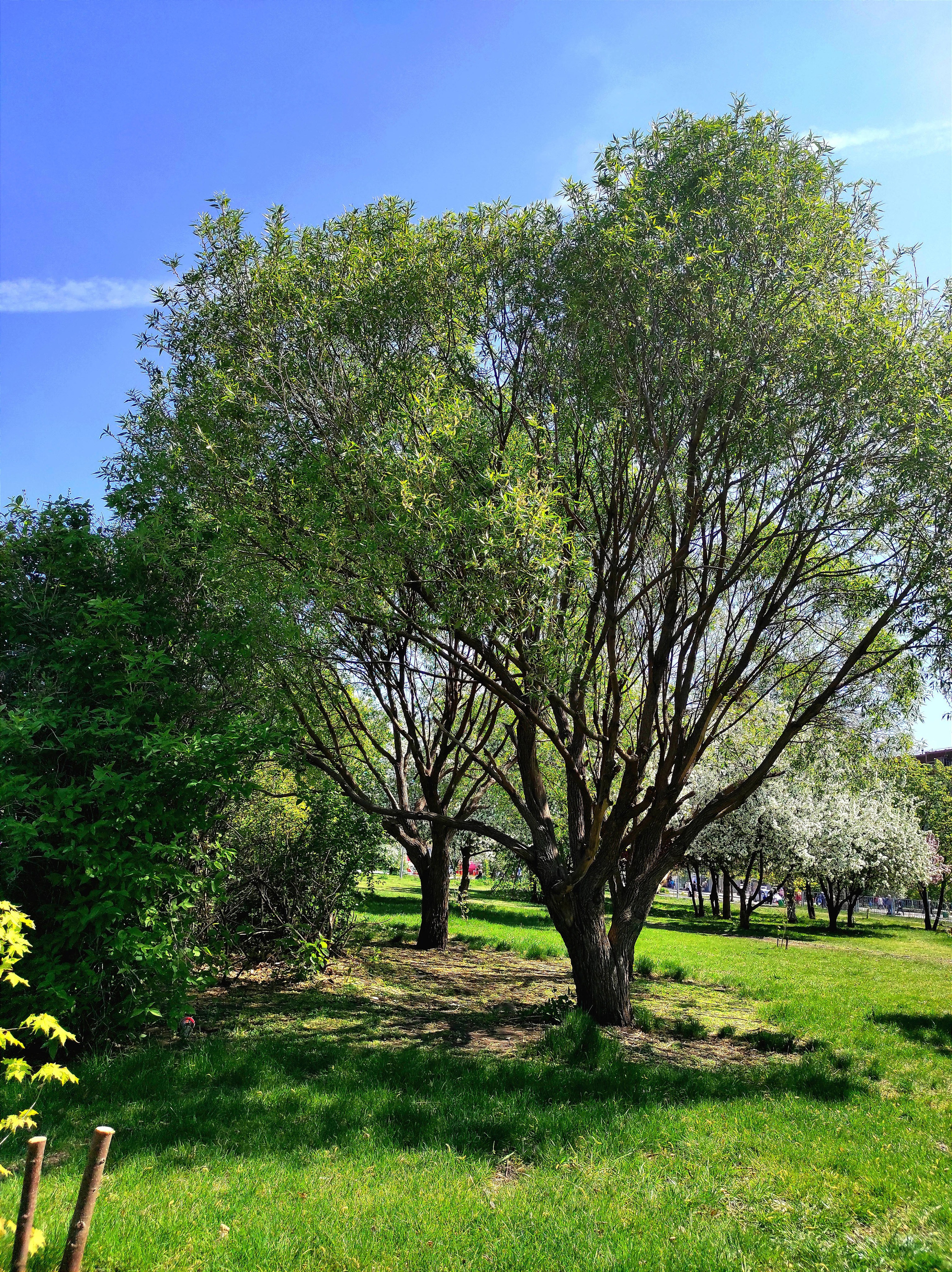 Вдохновение. Бутакова Елена фотограф в Екатеринбурге