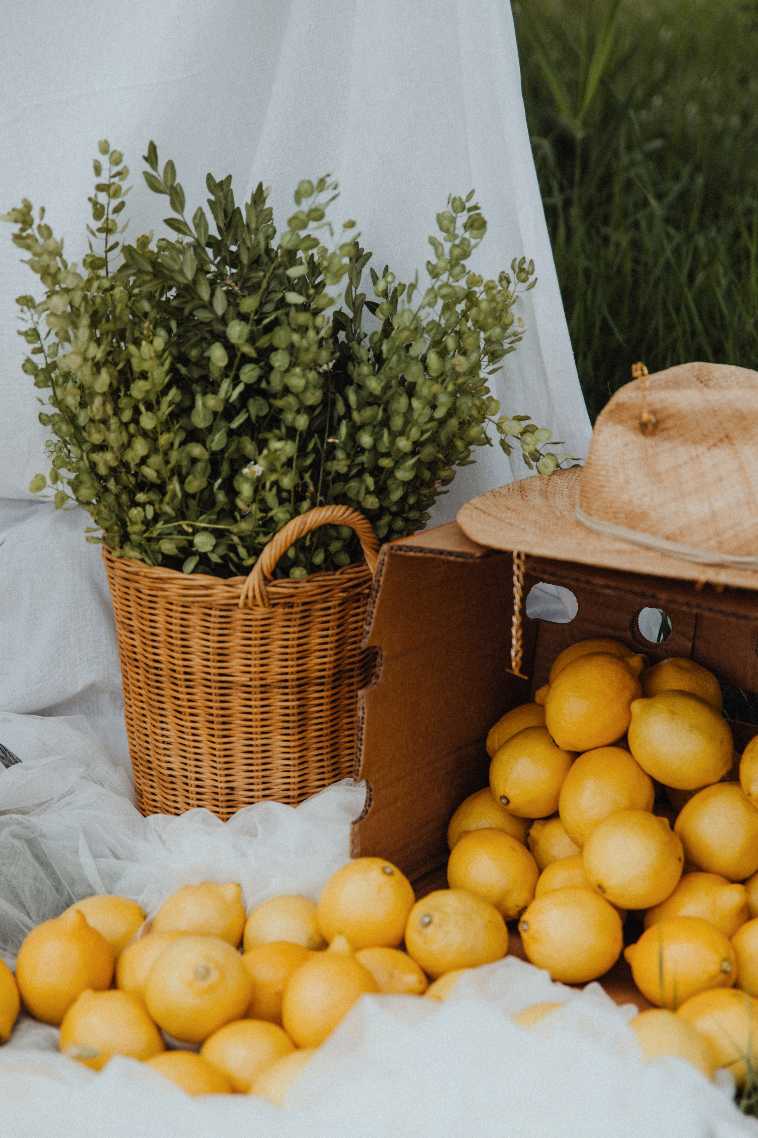 Lemon. Свадебный фотограф Анастасия Пальчикова