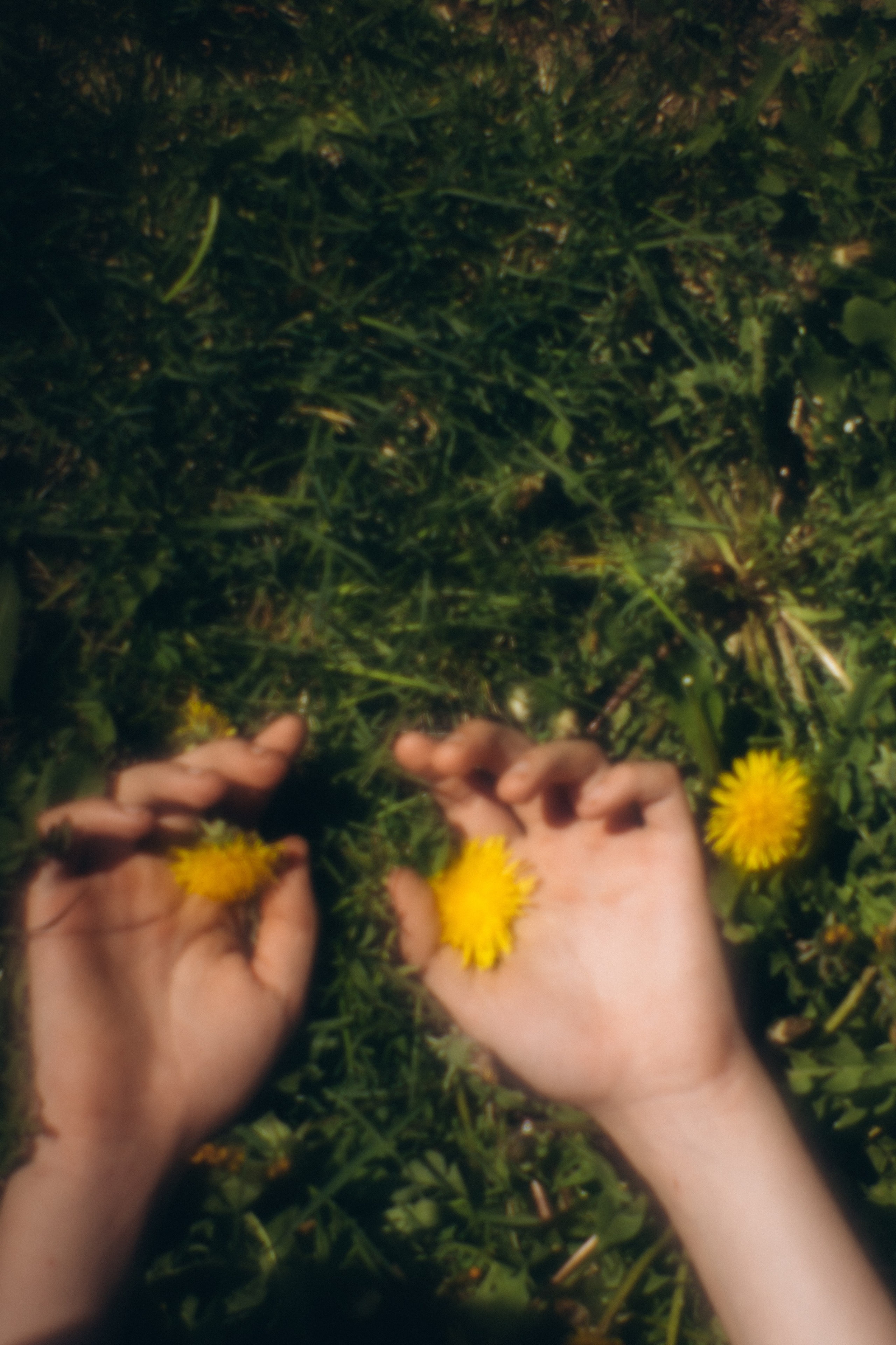 Деревенские зарисовки. Семейный LIFESTYLE фотограф в Москве