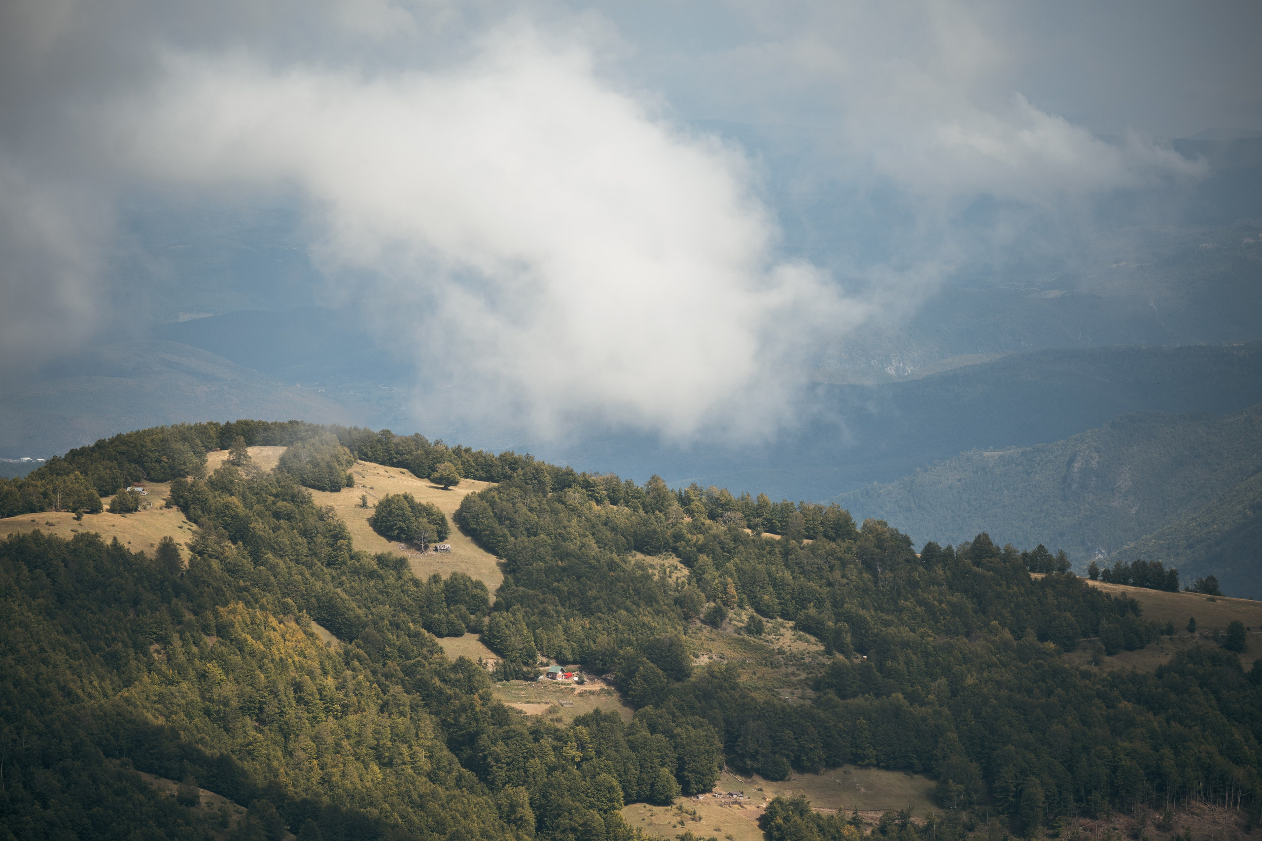 ГОРЫ КОМОВИ. ЧЕРНОГОРИЯ. Фотограф в Белграде Чугреева Елена