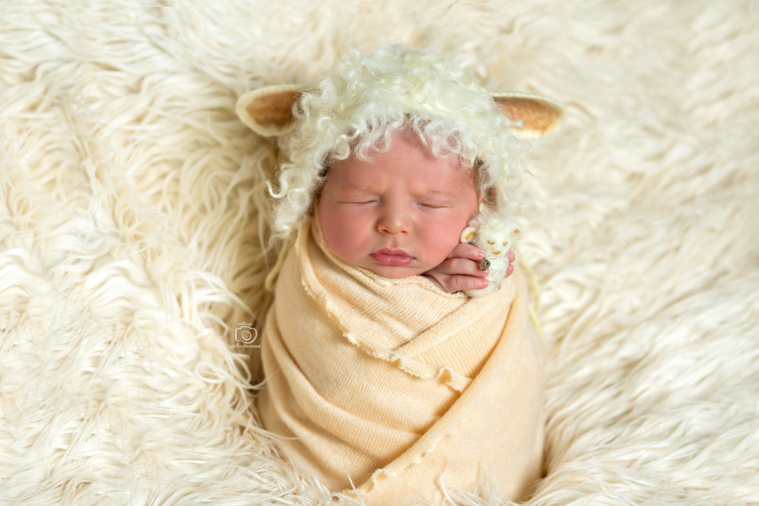 Портфолио новорожденных. Фотограф в Нефтеюганске Мила Аксёнкина
