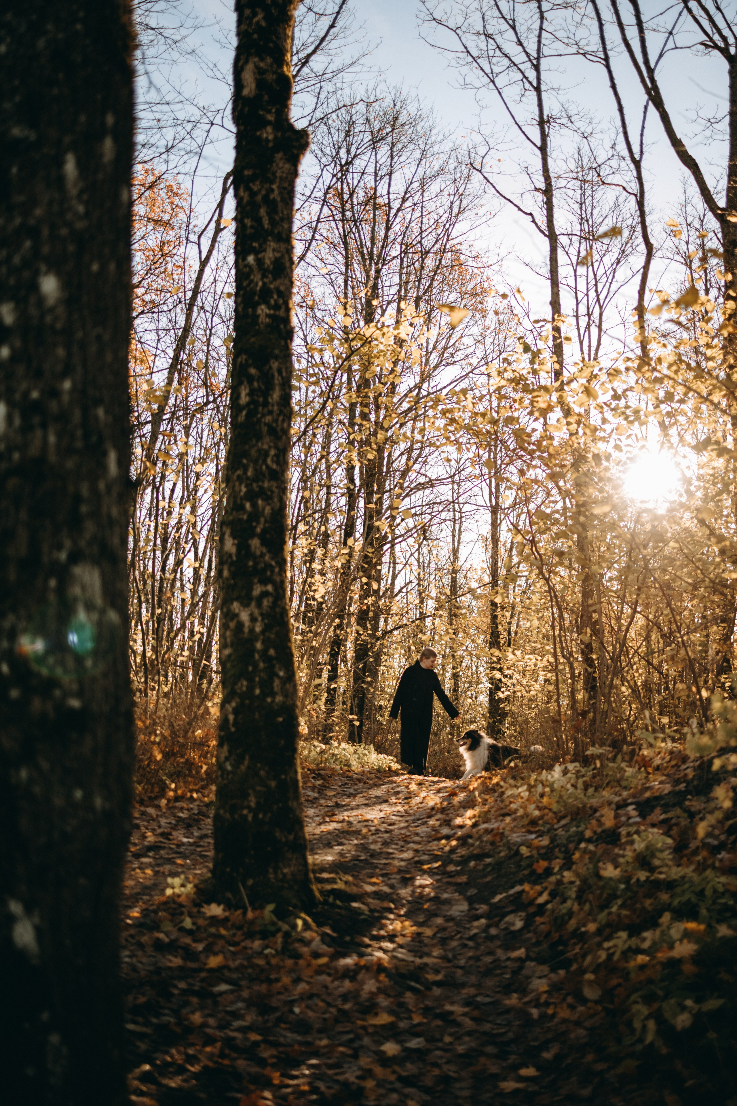 Ия и Барт. Фотограф — Анималист | Санкт-Петербург