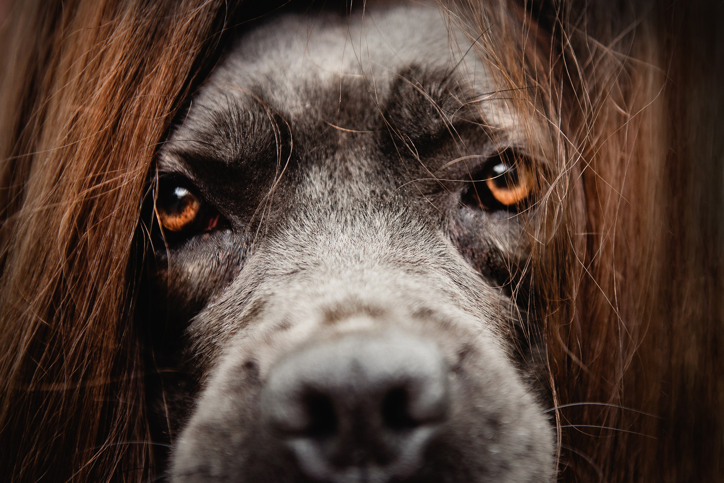 Кристина и Тея. Семейный Фотограф в Москве Ирина Хохлова