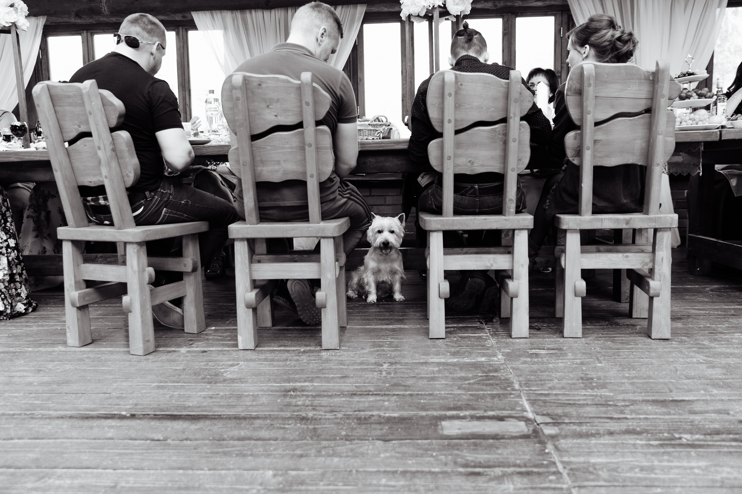 Wedding story/Экотель. Свадебный фотограф Кузнецова Ольга Санкт-Петербург, Вологда, Череповец