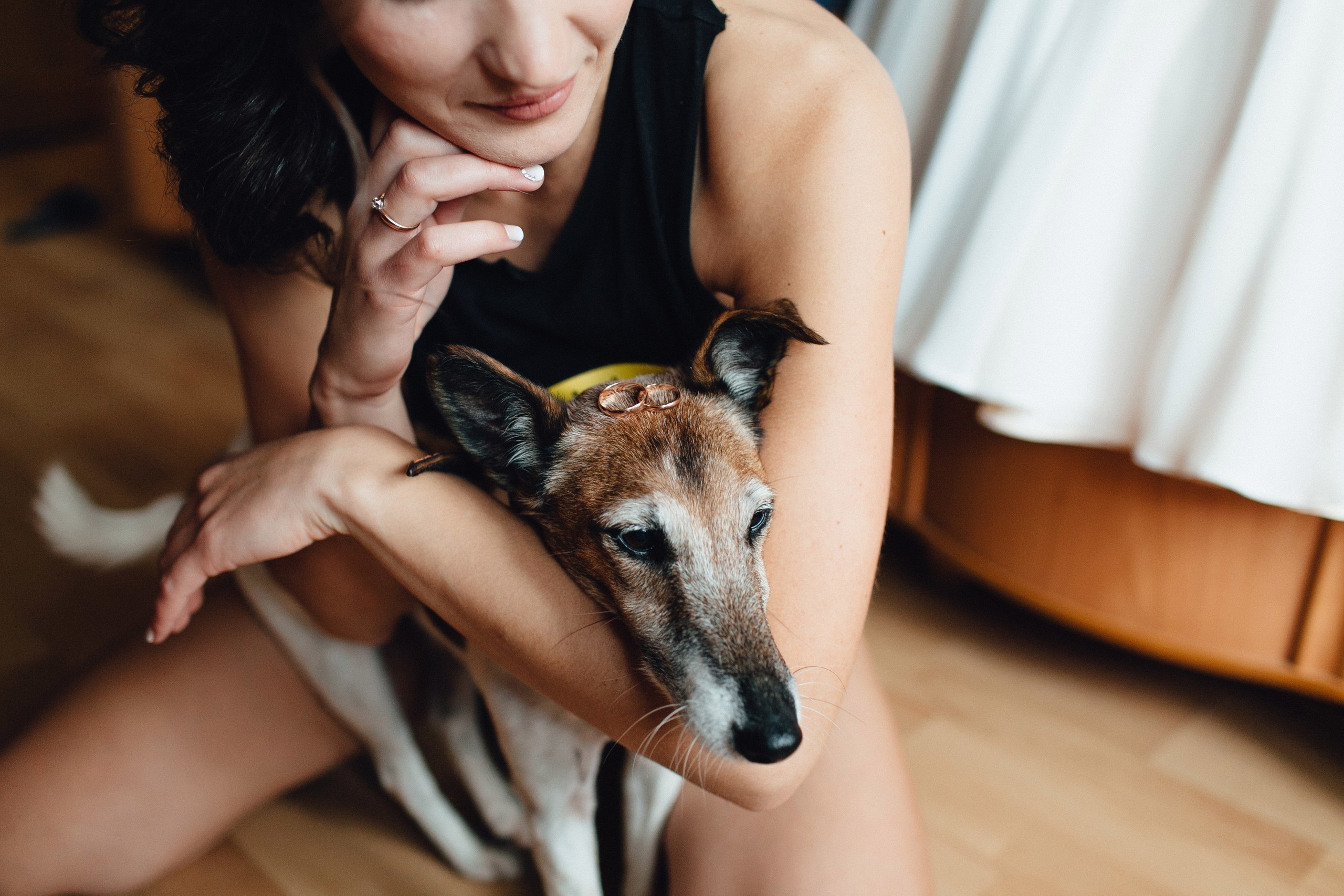Wedding Fox. Свадебный фотограф Кузнецова Ольга Санкт-Петербург, Вологда, Череповец