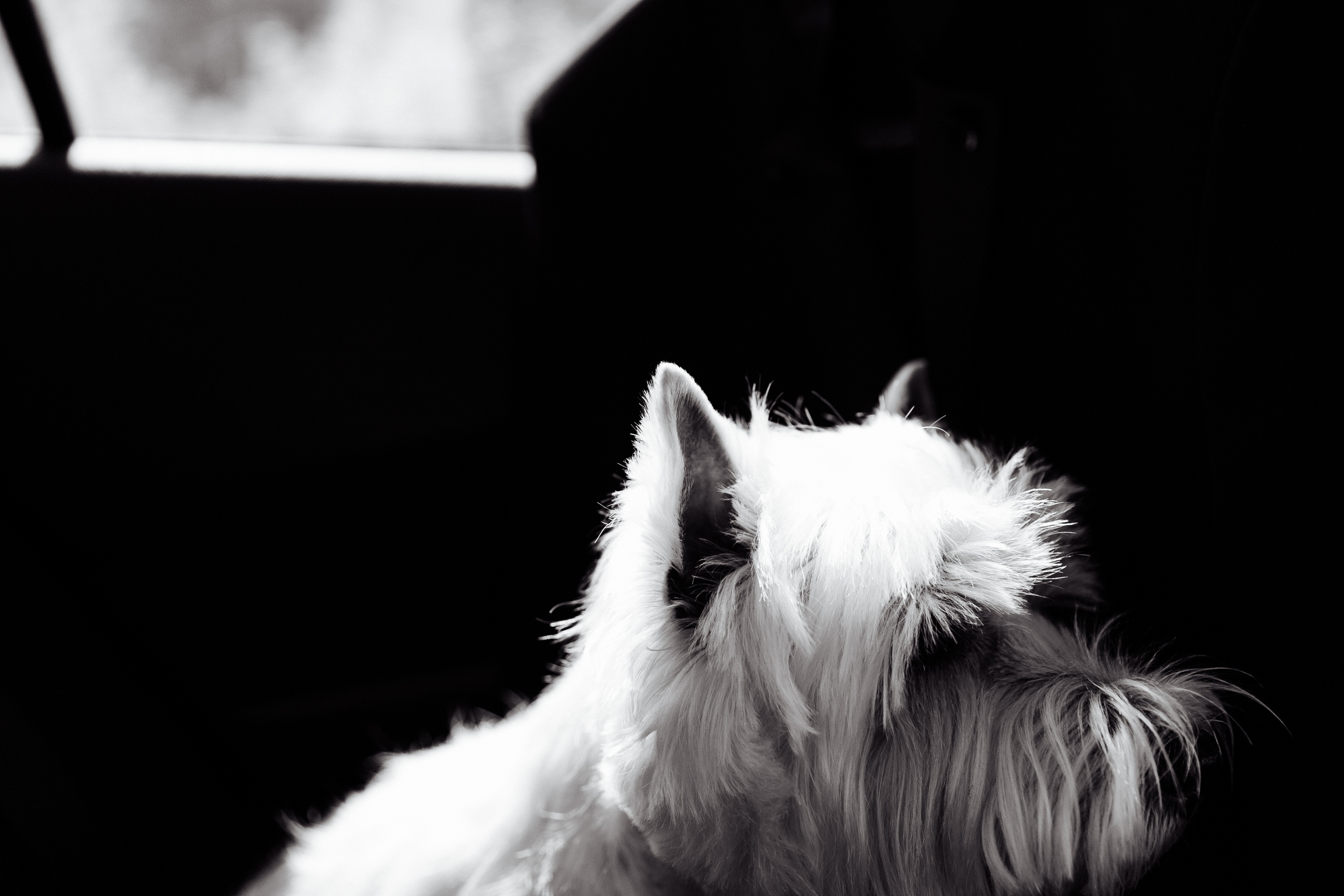 Wedding story/Экотель. Свадебный фотограф Кузнецова Ольга Санкт-Петербург, Вологда, Череповец