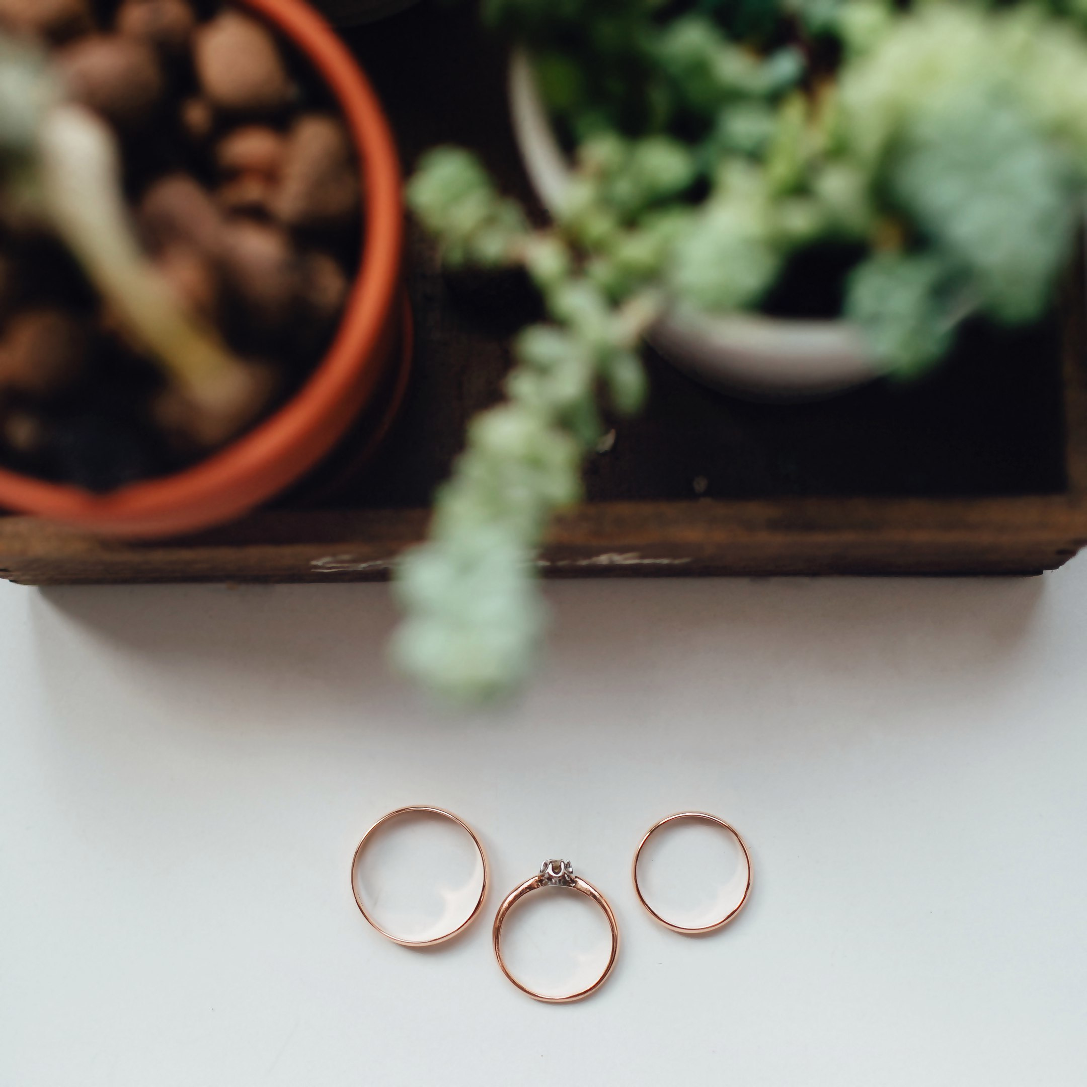 Wedding Fox. Свадебный фотограф Кузнецова Ольга Санкт-Петербург, Вологда, Череповец
