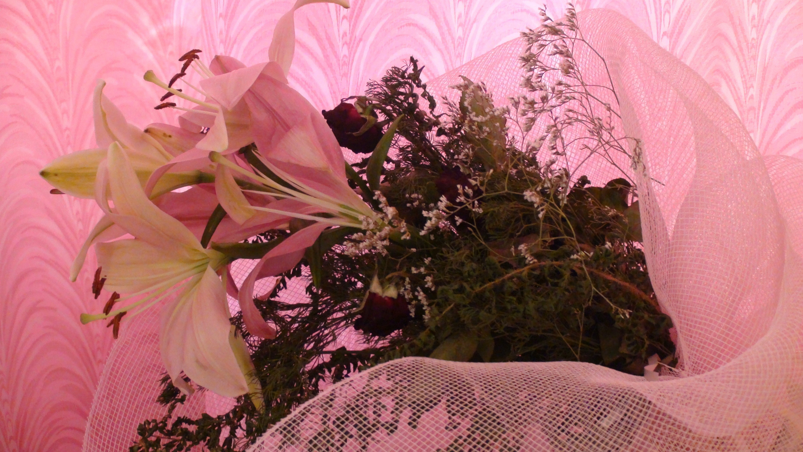 Отпуск 27.05-16.08. Семейный, Свадебный фотограф СПБ Питер— Романова Екатерина