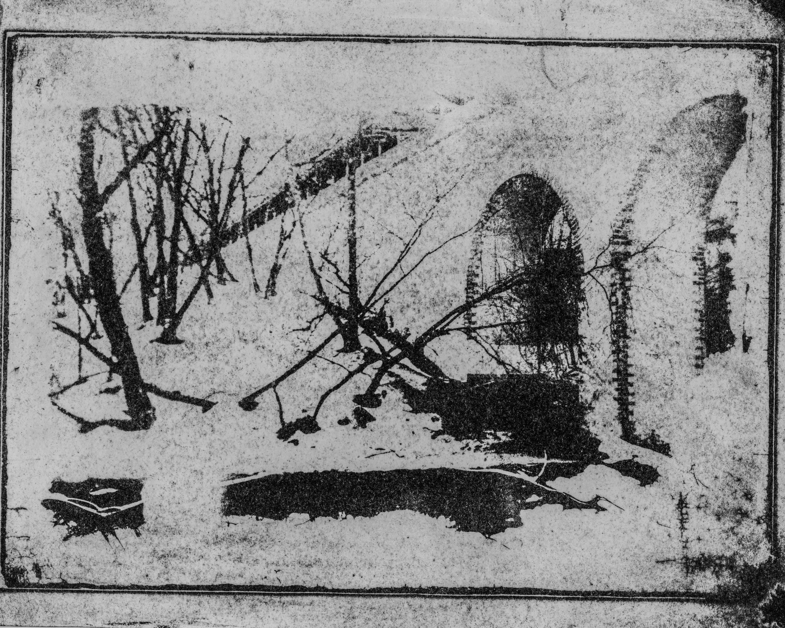 Alternative processes | gumoil | cyanotype | van dyke. Darkroom aesthetics