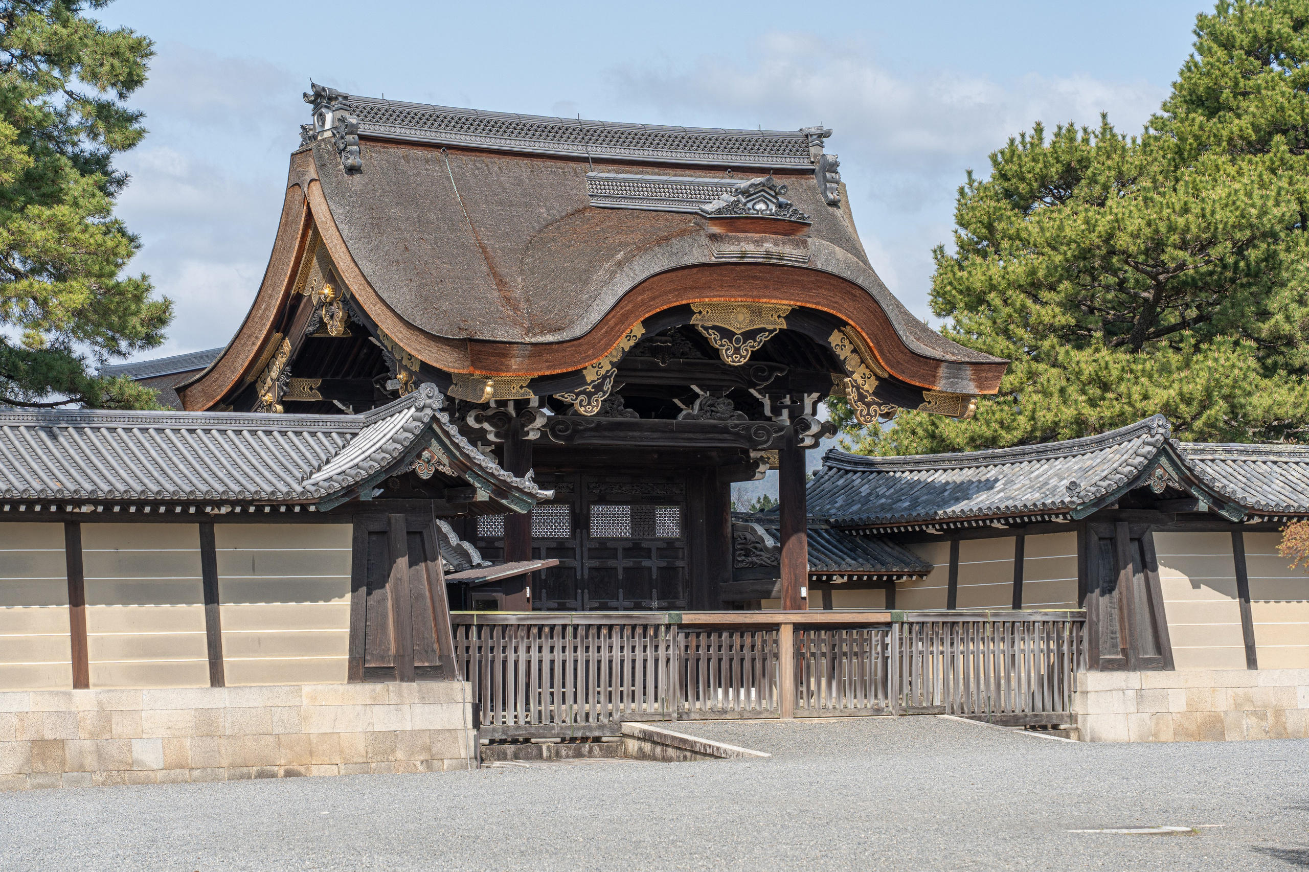 Япония, сакура. Творческие сьемки