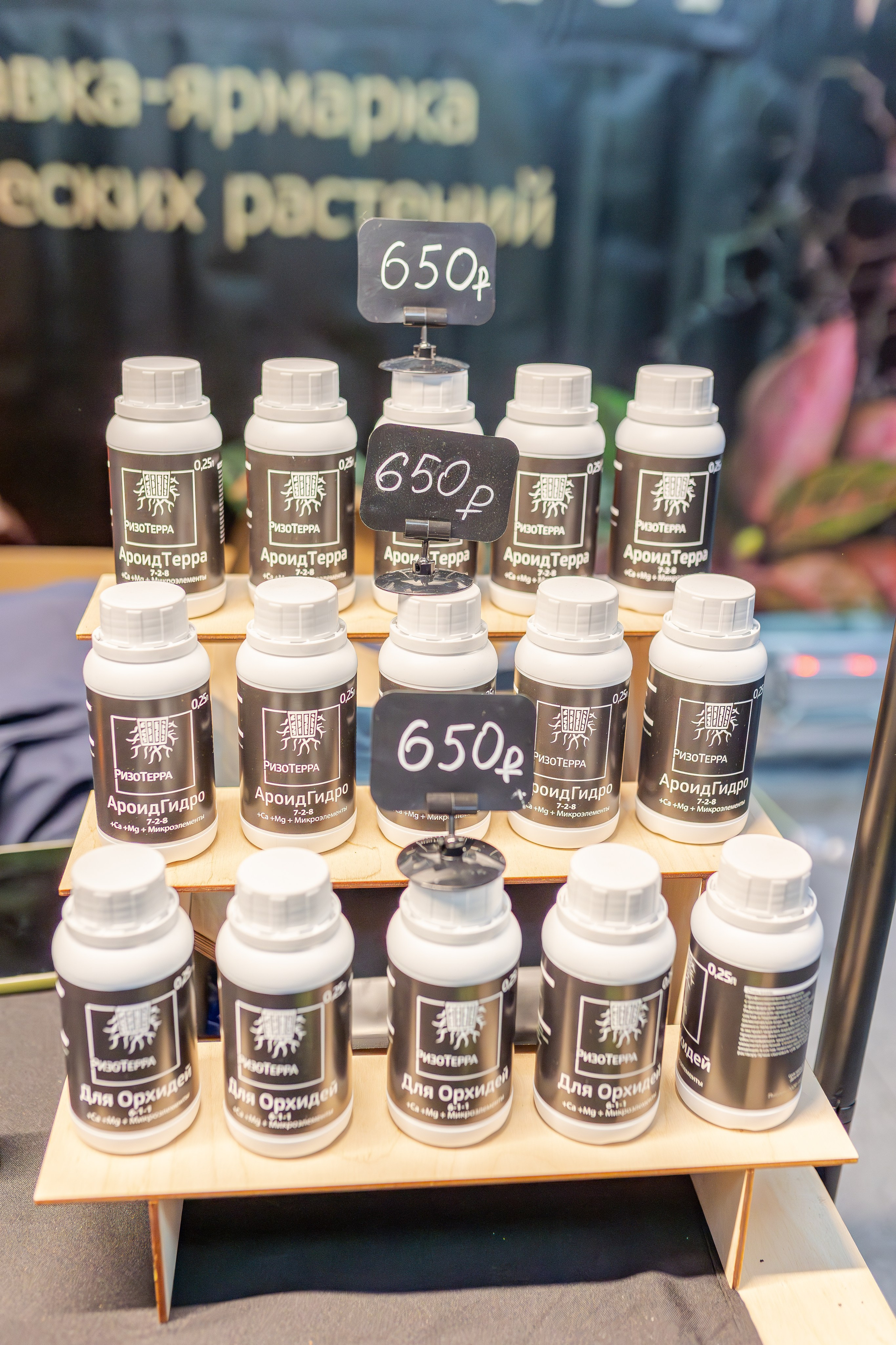 Монстериум апрель 2026. Александра Куликова фотограф, Москва