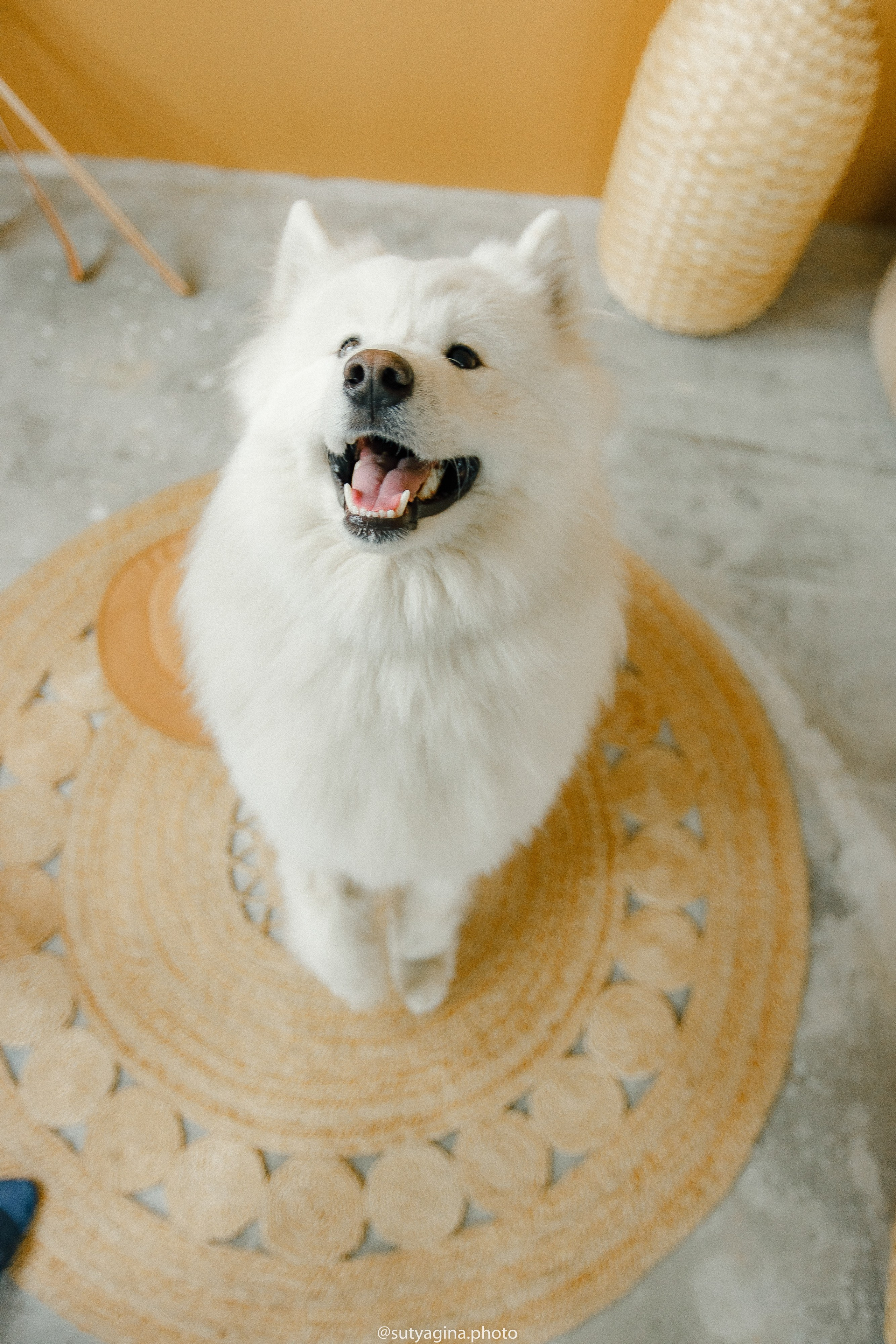 Самоед Мартин. Свадебный и женский фотограф