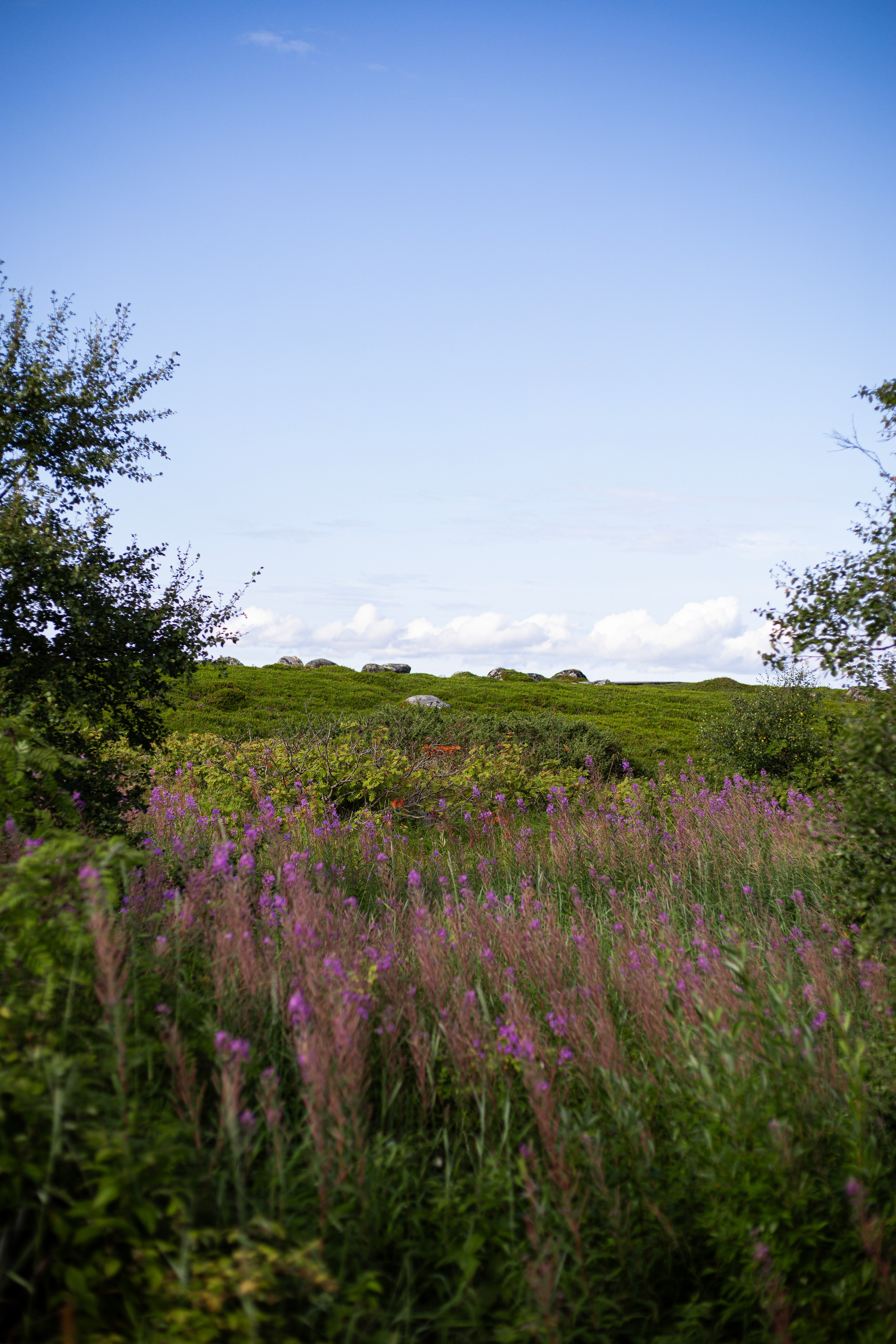 Соловецкие острова. Фотограф Манеев Богдан