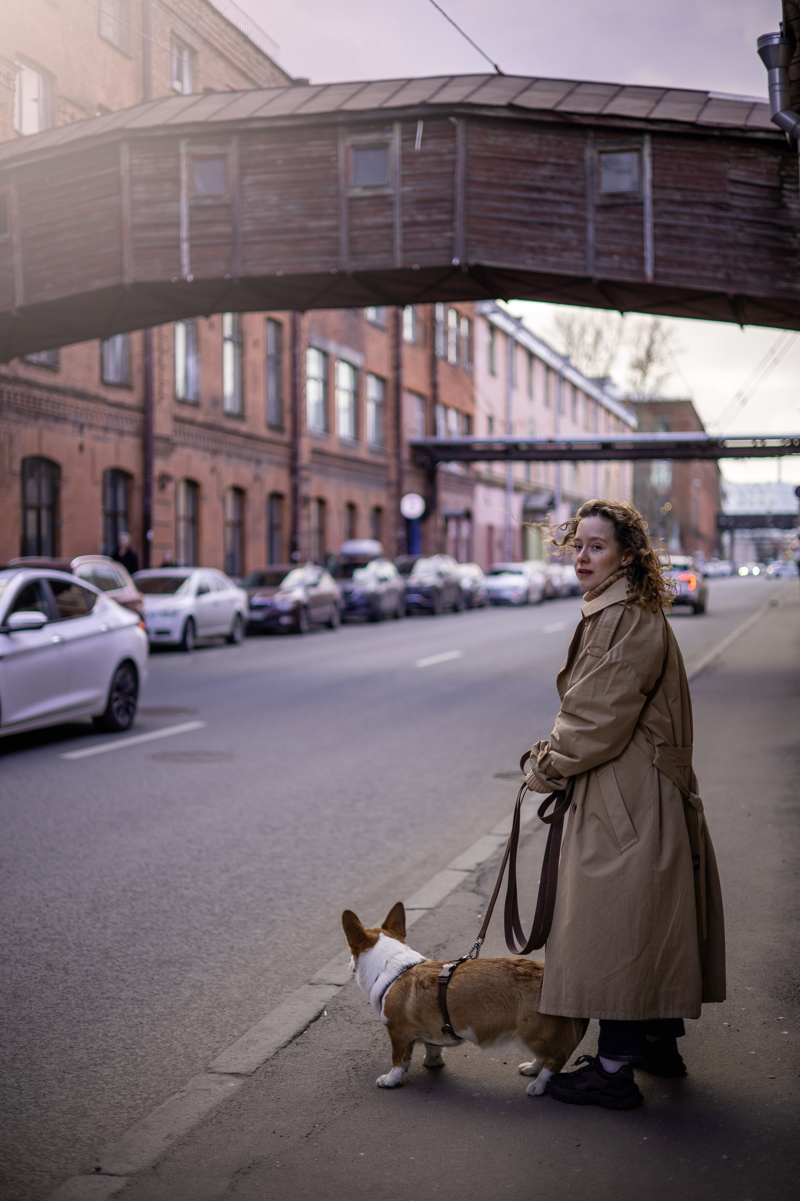 Александра и Мика. Фотограф животных Евгения Верцинская