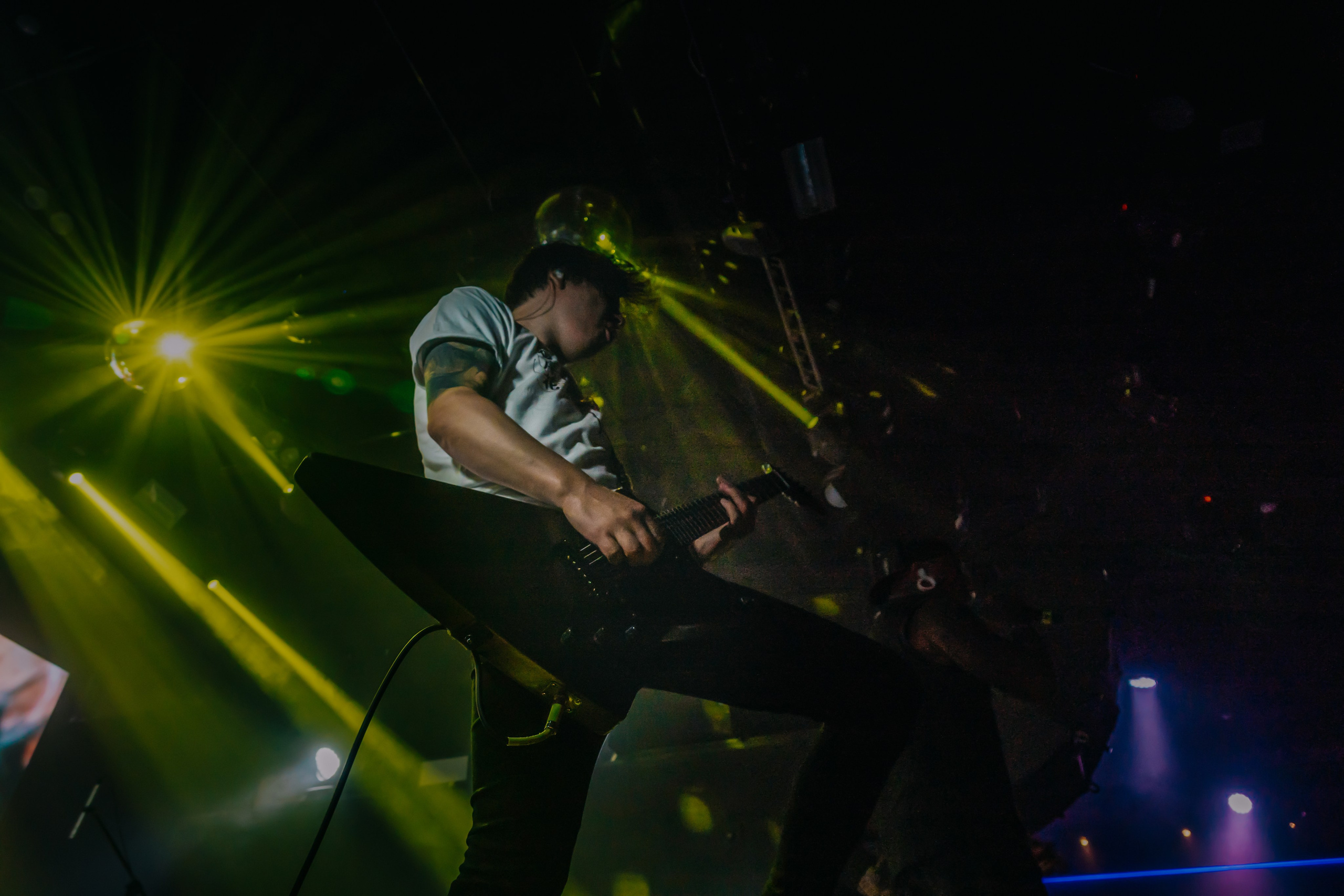 Starkillers 21-09-2024. Фотограф-анималист в Москве Юлия Лайхо