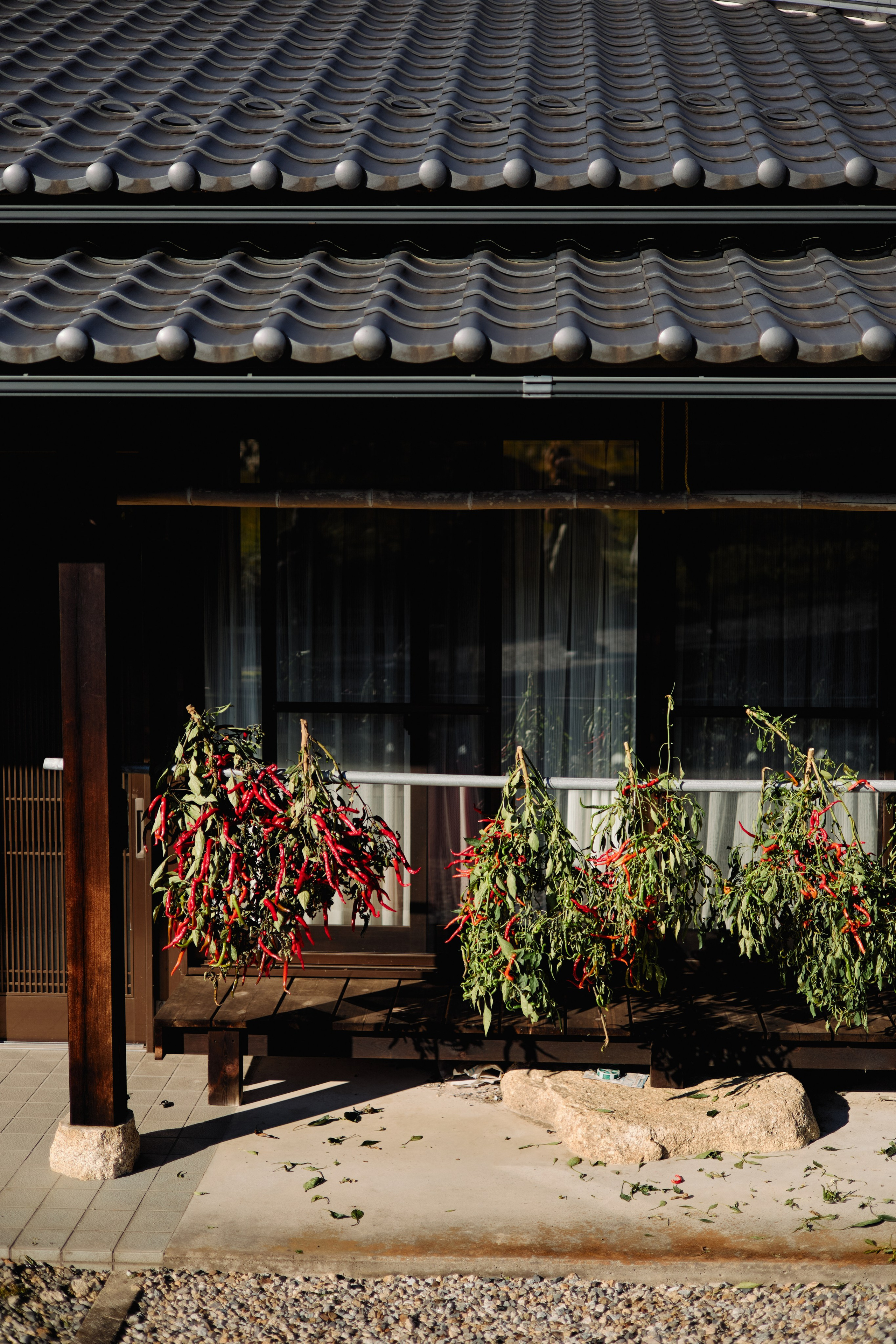 Япония. Профессиональный Фотограф во Владимире, в Москве и в Суздале — Полина Романычева