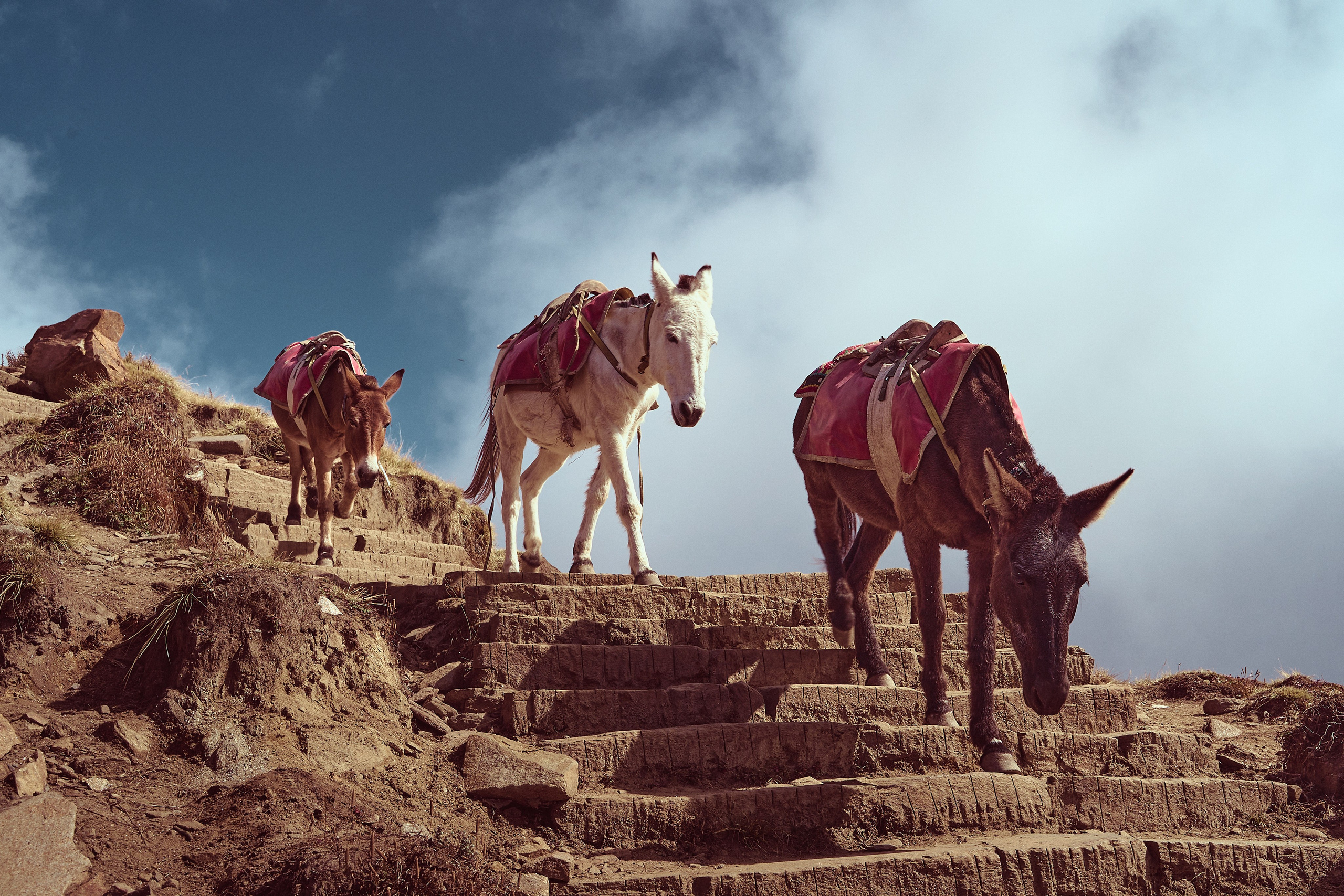 Непал. Фото