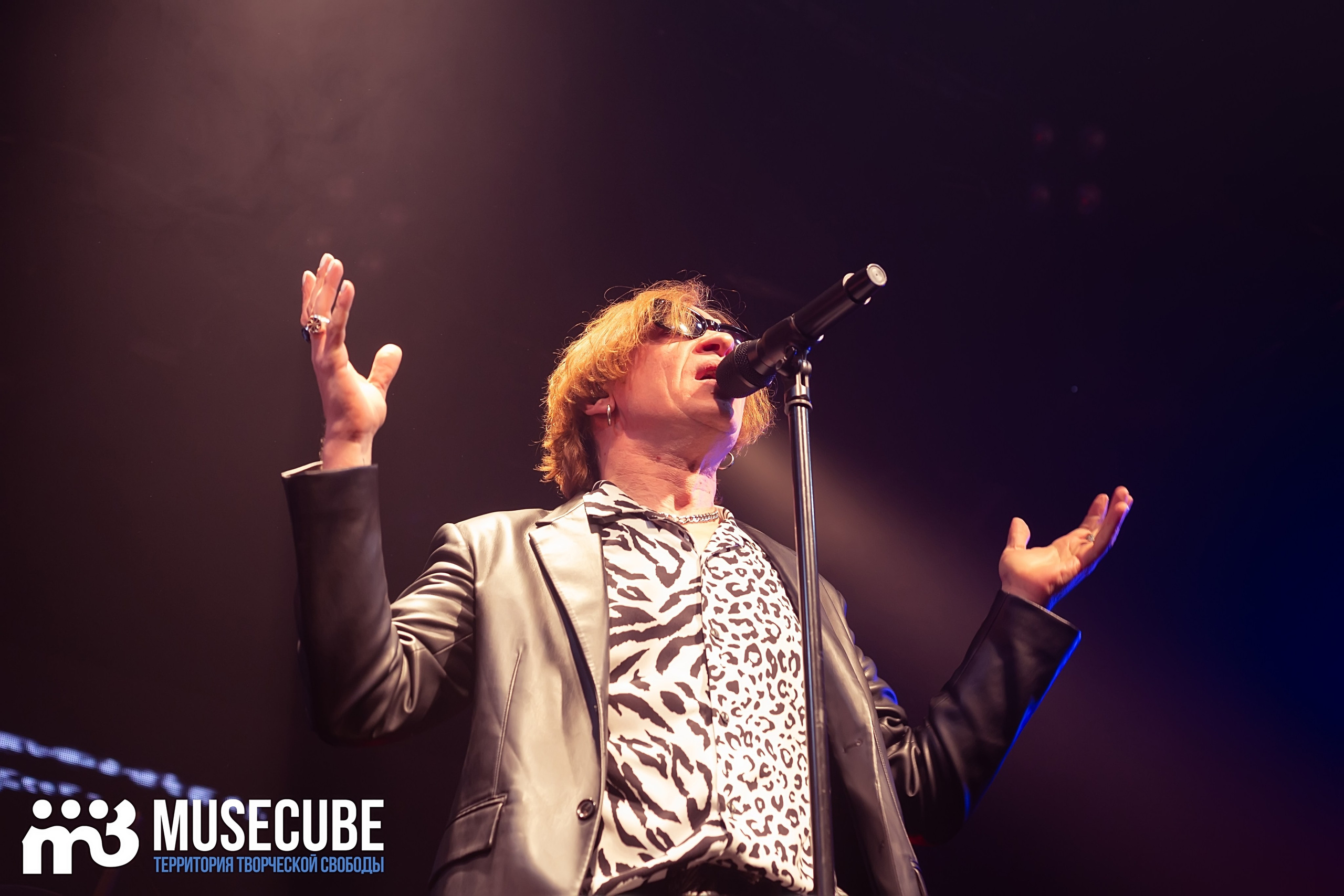 Фотосъемка концерта Найк Борзов Космонавт СПБ. Портретные фотосессии, контент-съемки, репортаж