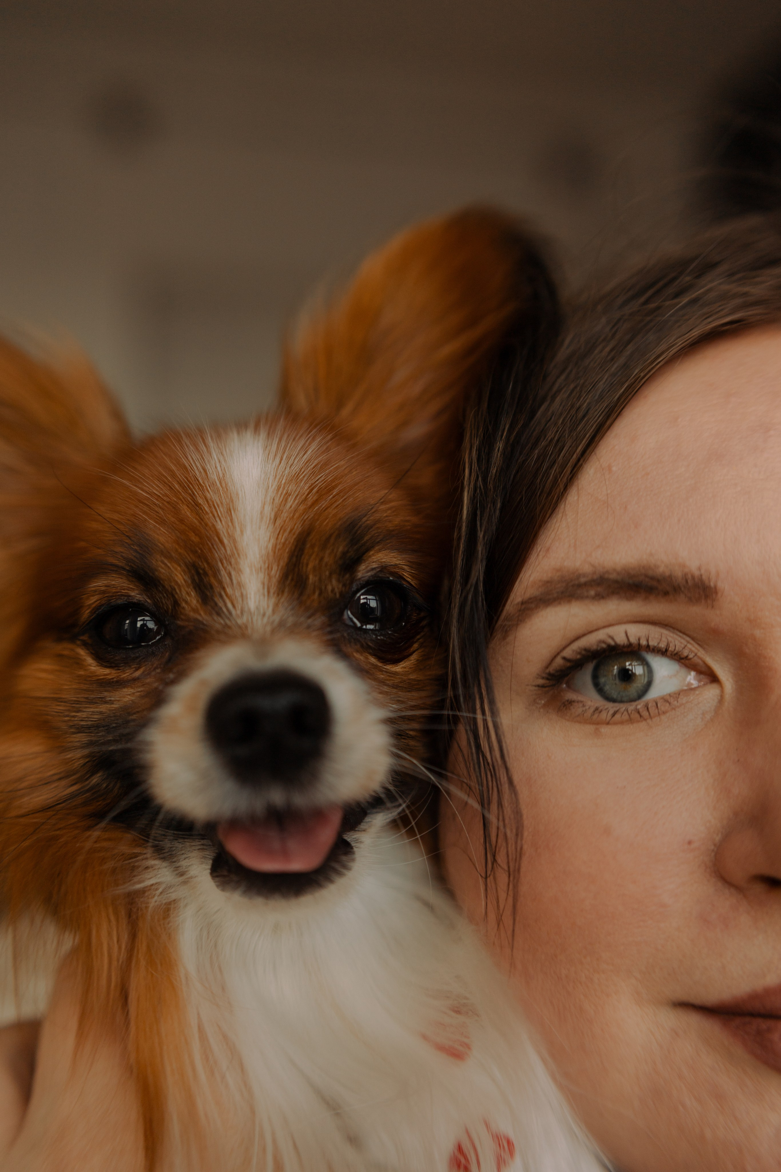 Женя и Брю. Фотограф — Анималист | Санкт-Петербург