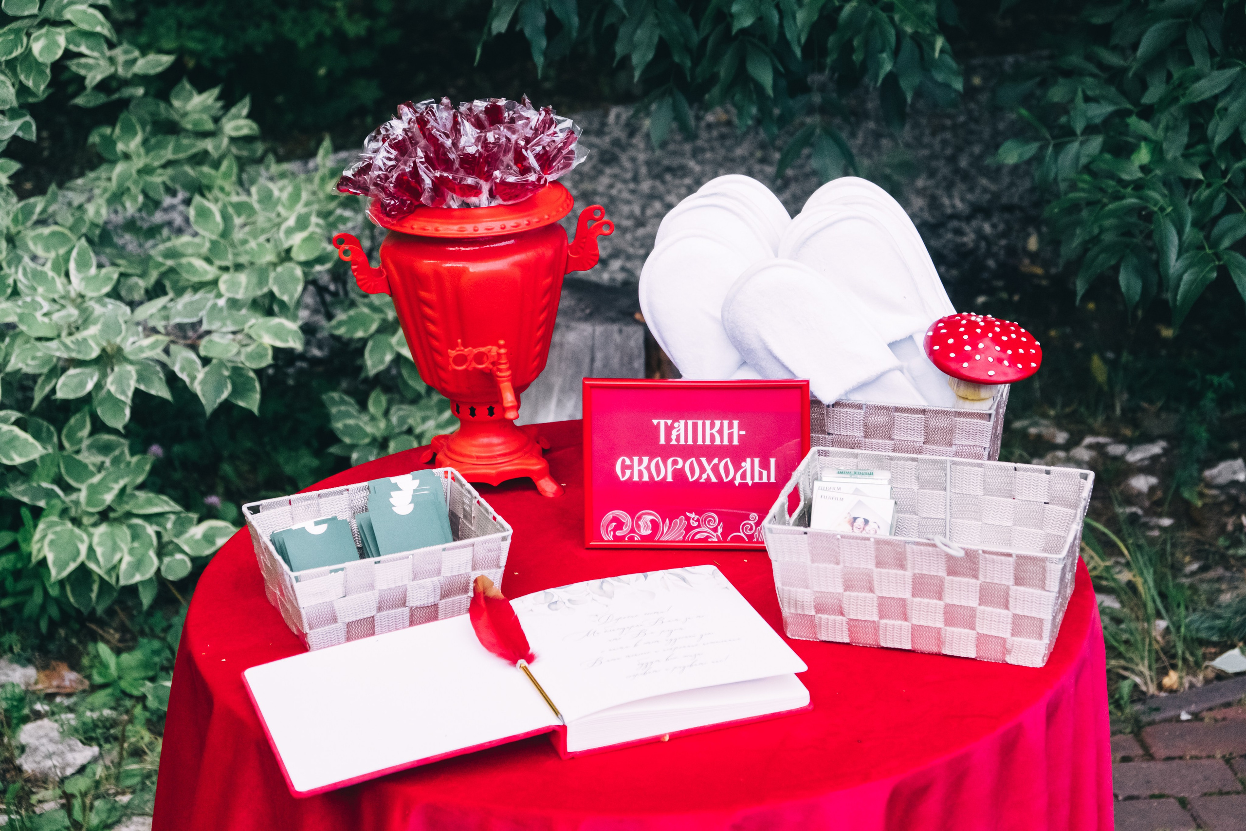 Иван и Алена. Фотограф на свадьбу