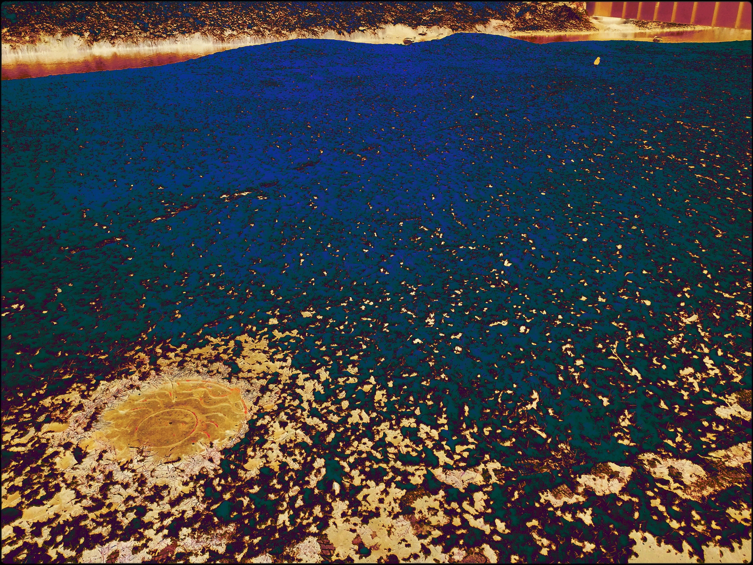 Malamoonki. Катерина Малама арт-фотограф