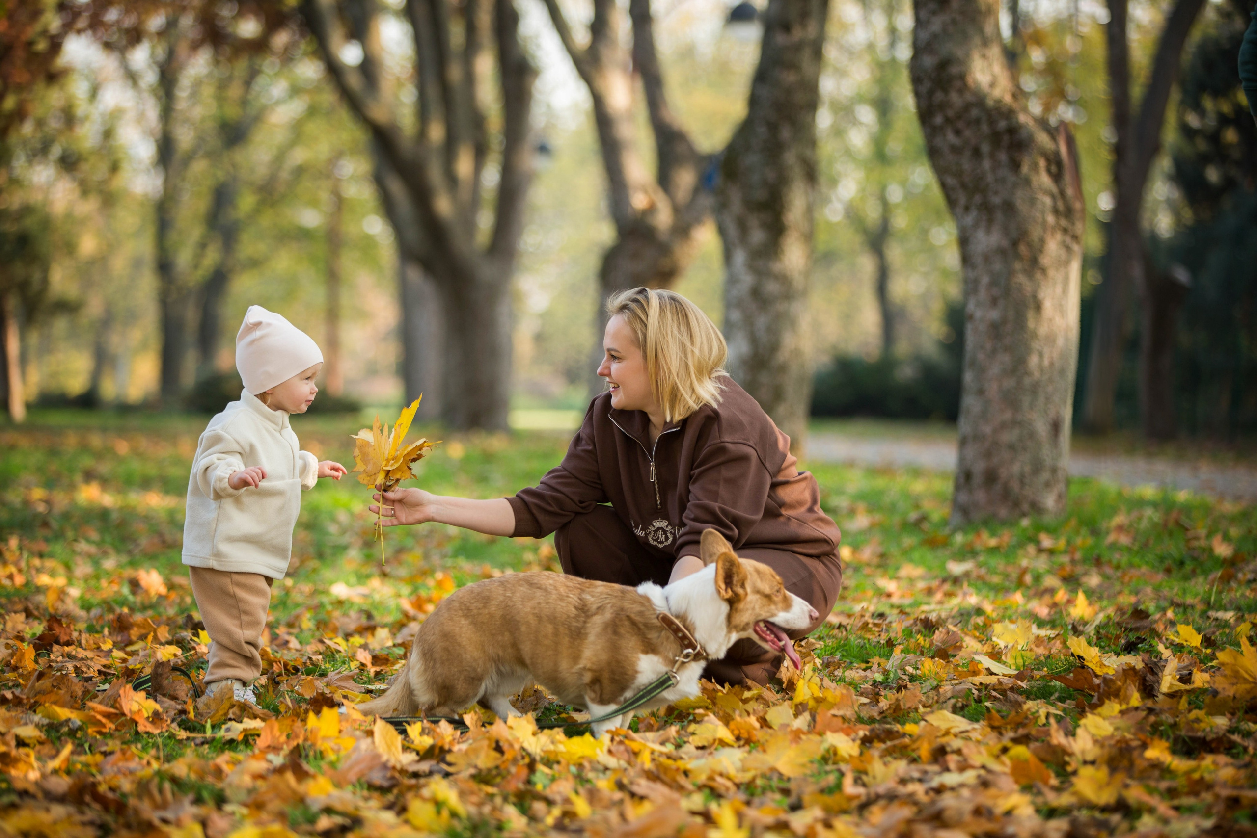 Осень. Дендрарий. Свадебный семейный и детский фотограф в Краснодаре Карина Федоровская