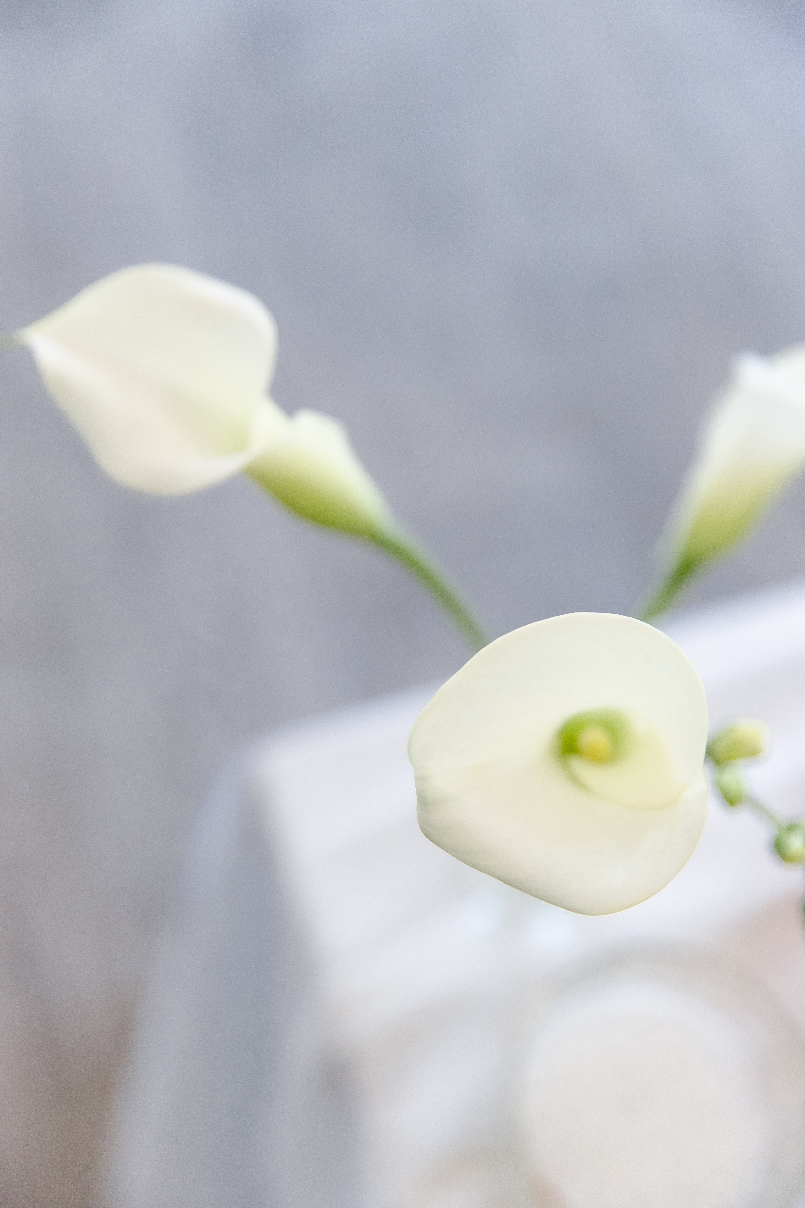 Свадебный день Паши и Насти. Свадебный фотограф Анна Бабахина