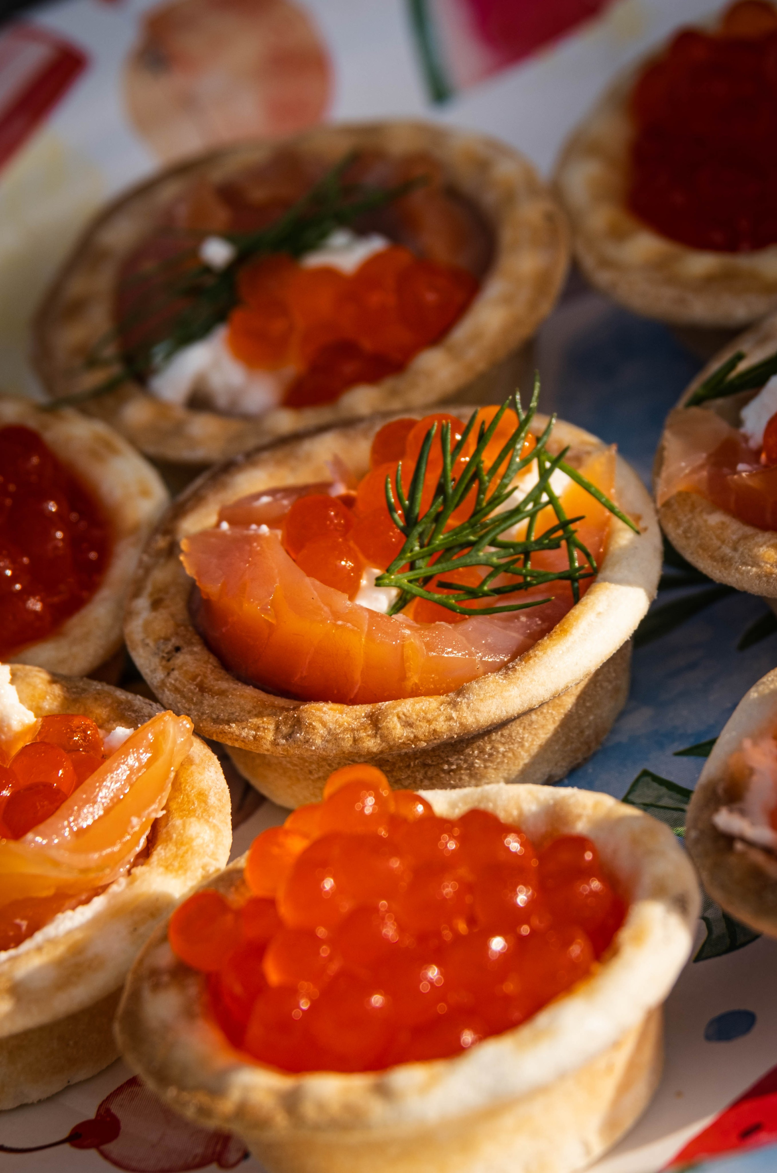 Открытие базы отдыха «Алтай Бали». Фотограф |Герасимова София