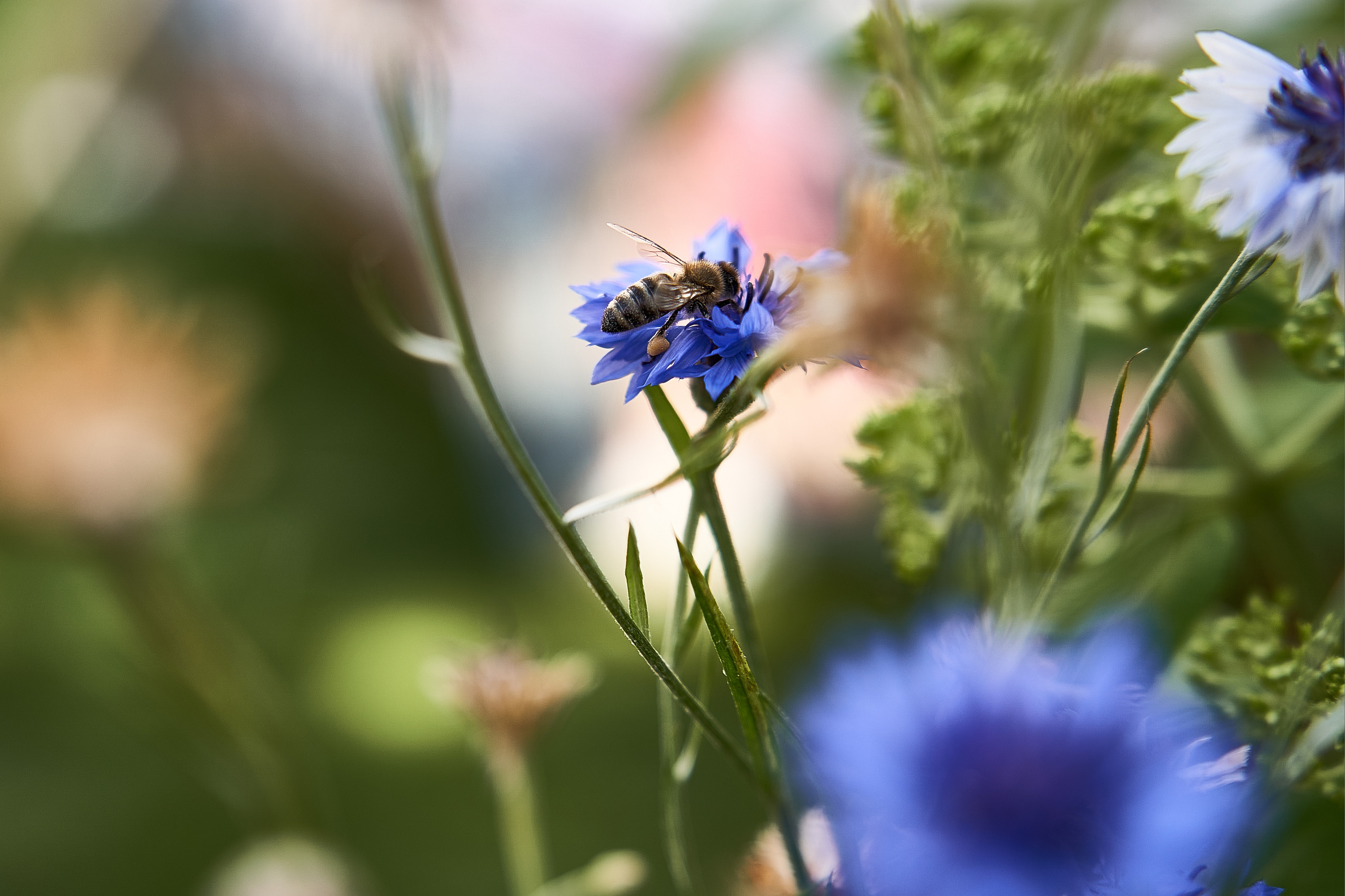 Свадебная съёмка. Мартазова Екатерина фотограф. Екатеринбург