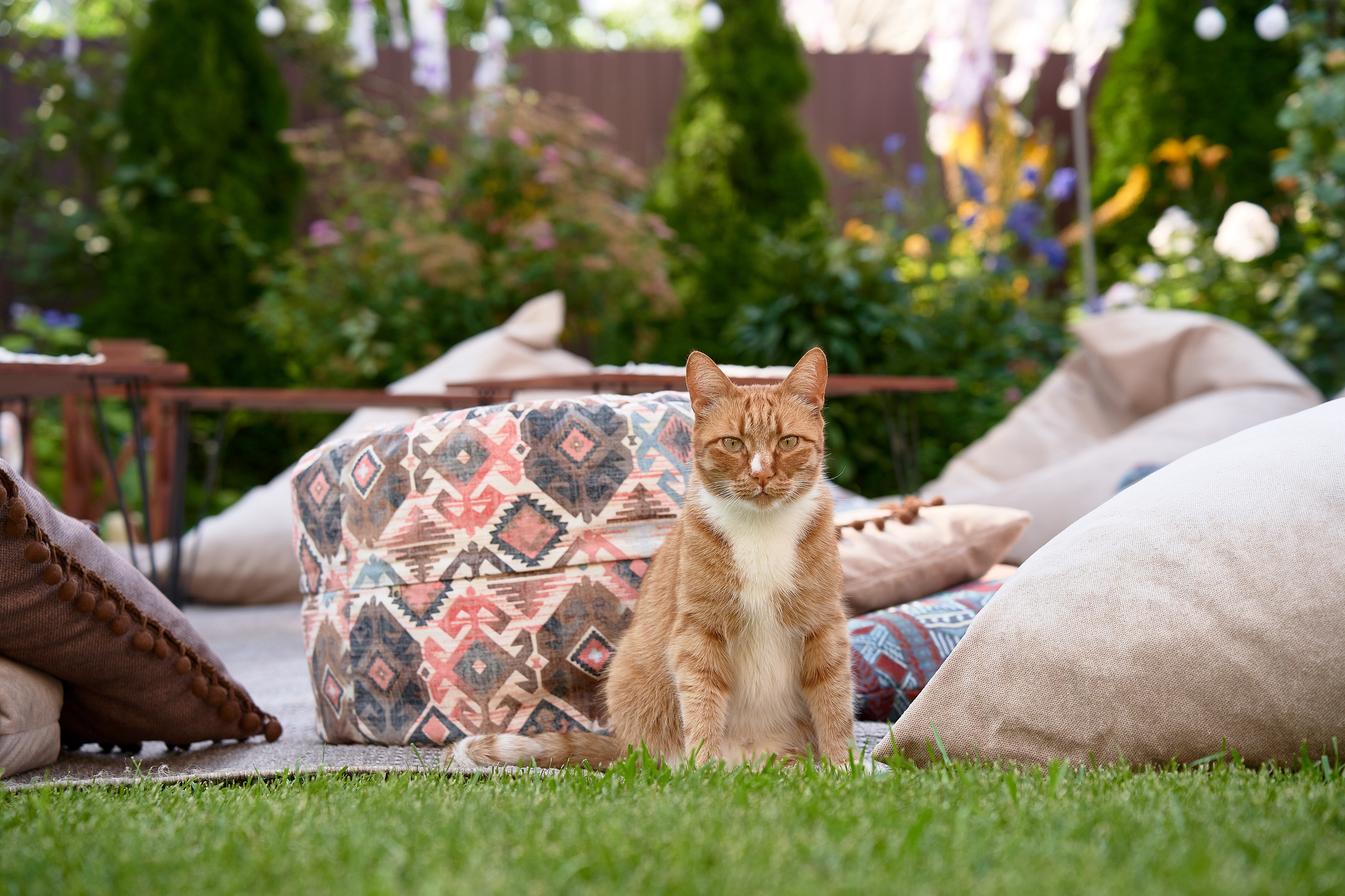 Свадебная съёмка. Мартазова Екатерина фотограф. Екатеринбург