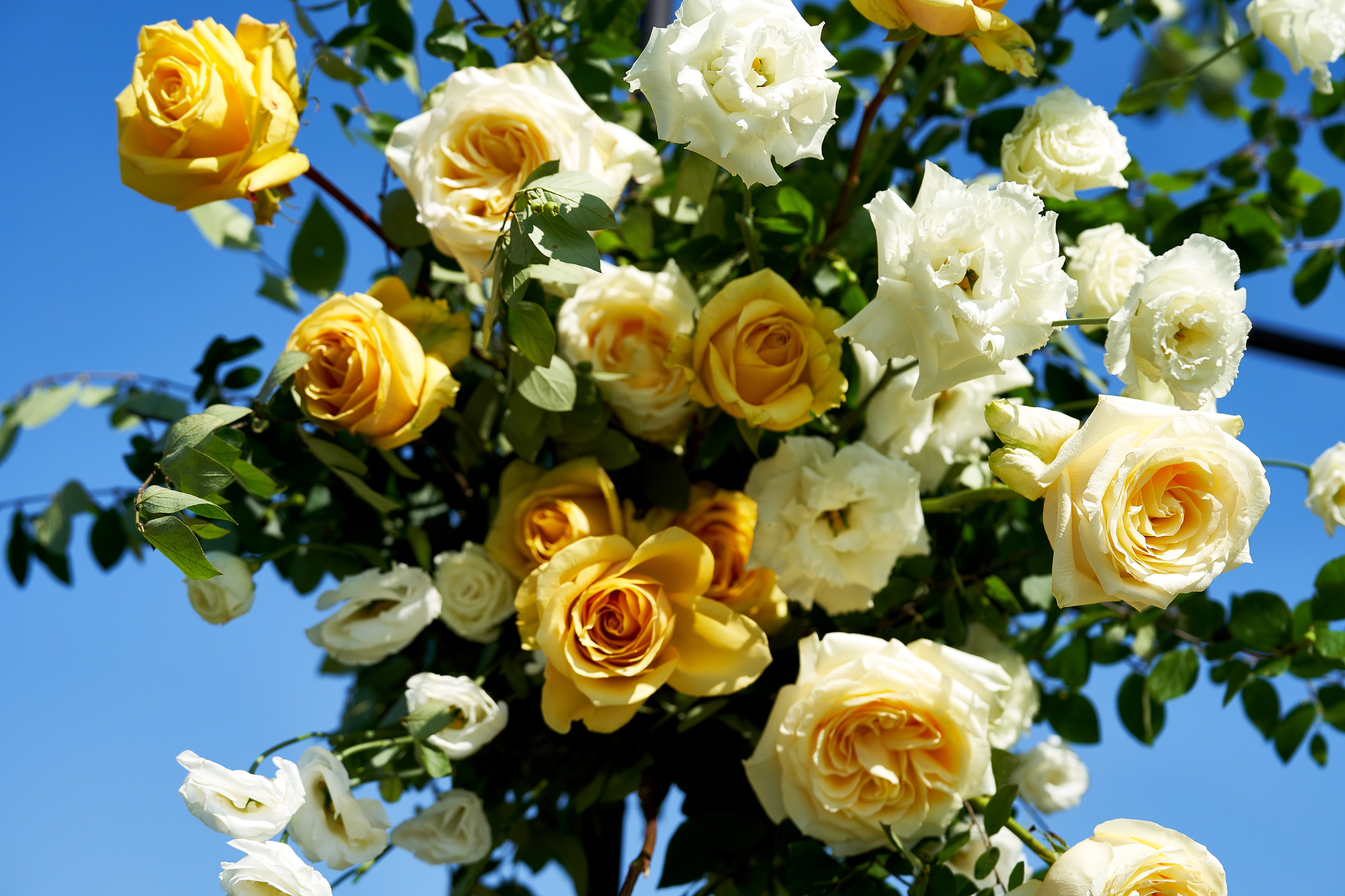 В лучах счастья Свадебная съёмка. Мартазова Екатерина фотограф. Екатеринбург