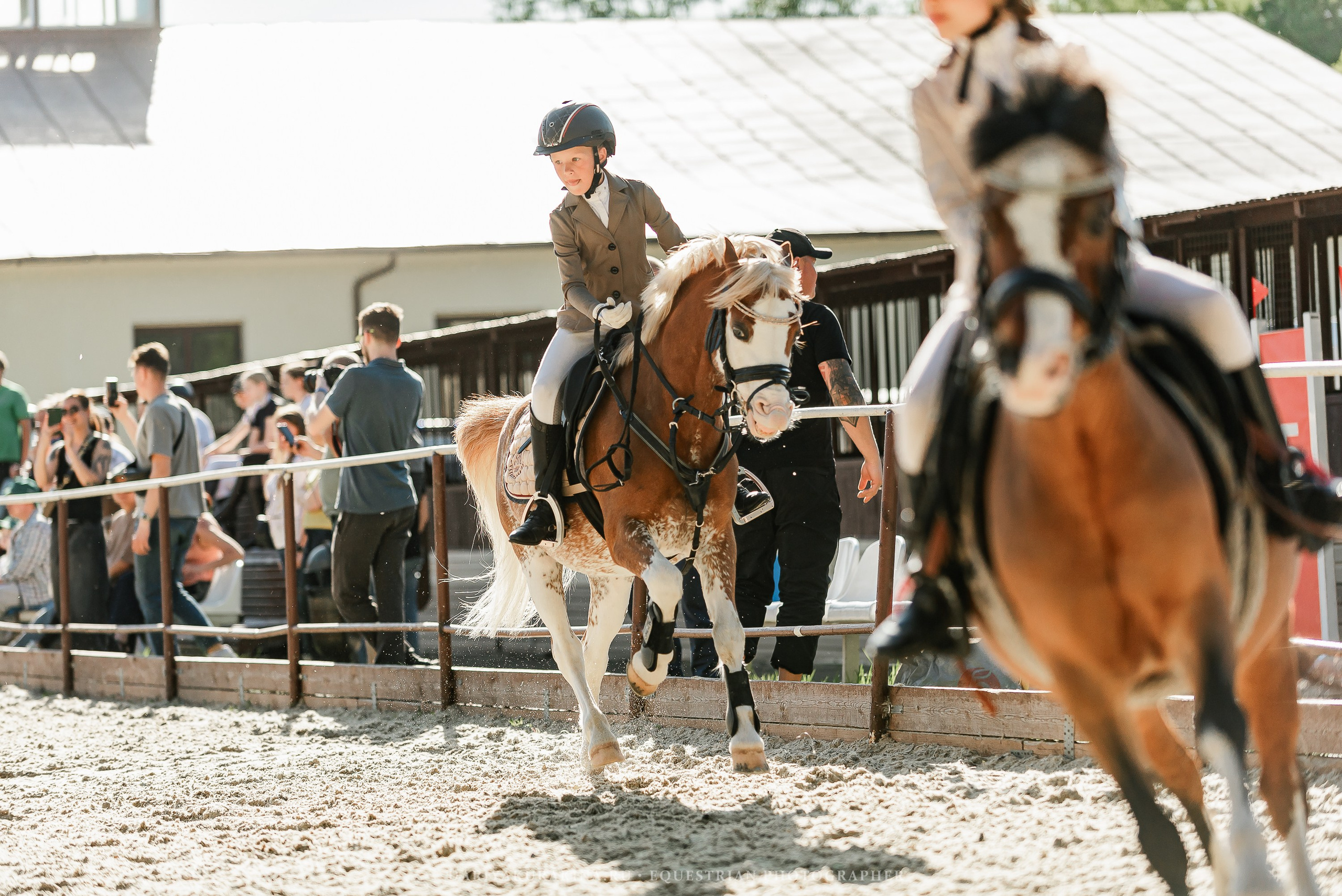 #ПОНИФОРУМ 2024. Конный фотограф Куракина Дарья • Фотосессии с лошадьми