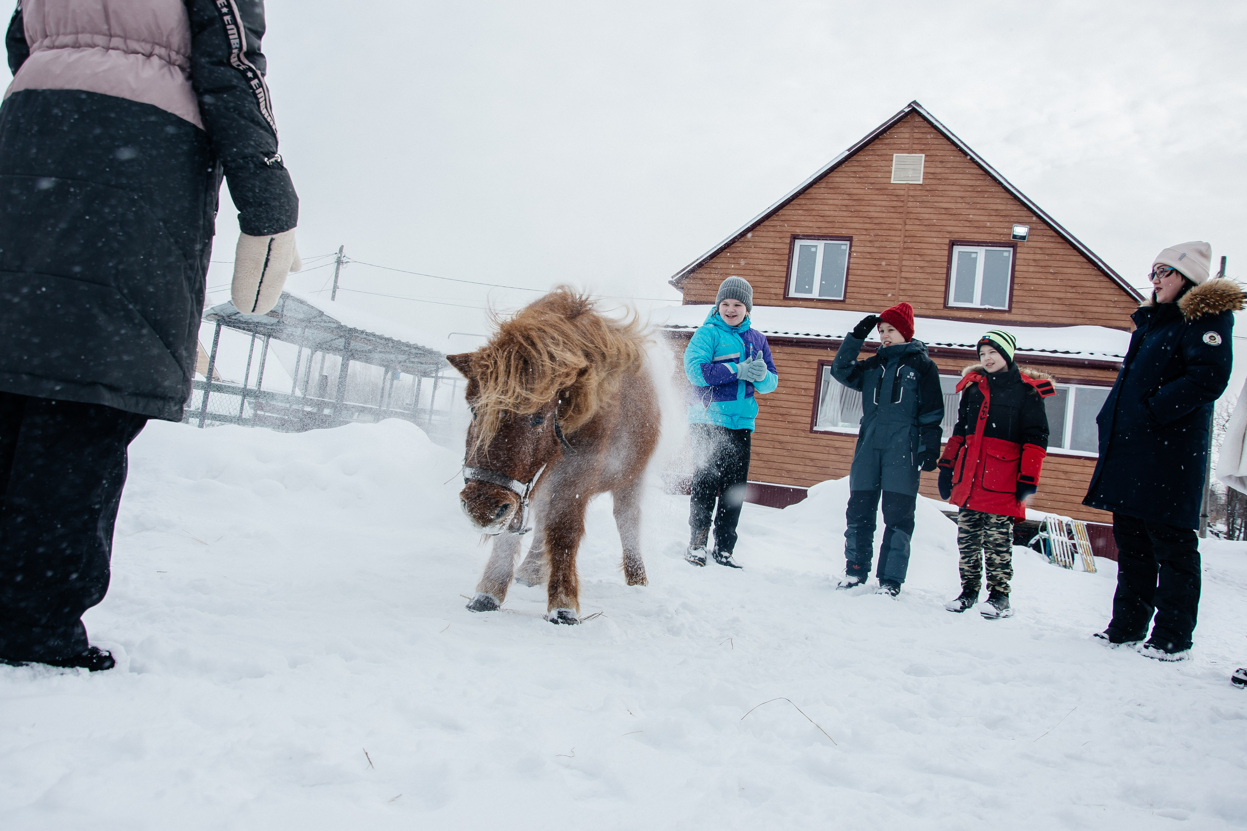 Детская прогулка. Фотограф на все случаи