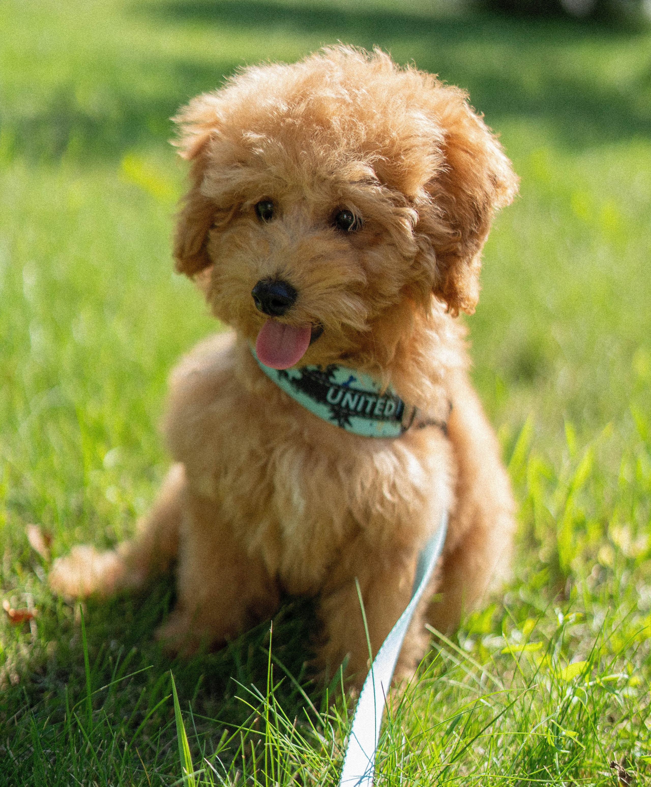 Прогулочная фотосессия Новосибирск Краснообск Love-story  фотосессия Новосибирск Краснообск