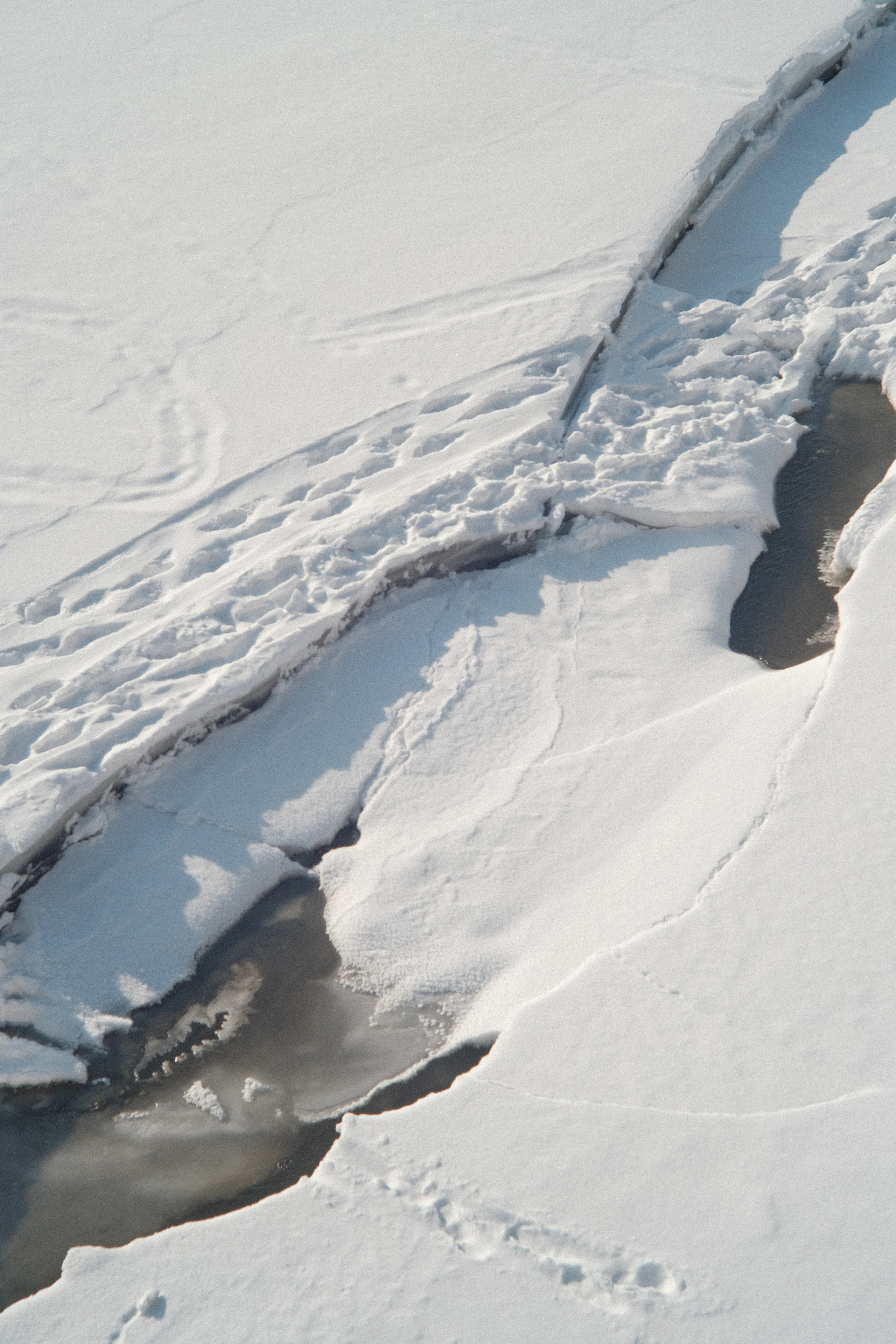 Наблюдения. Семейный фотограф в Новосибирске Артём Кузнецов