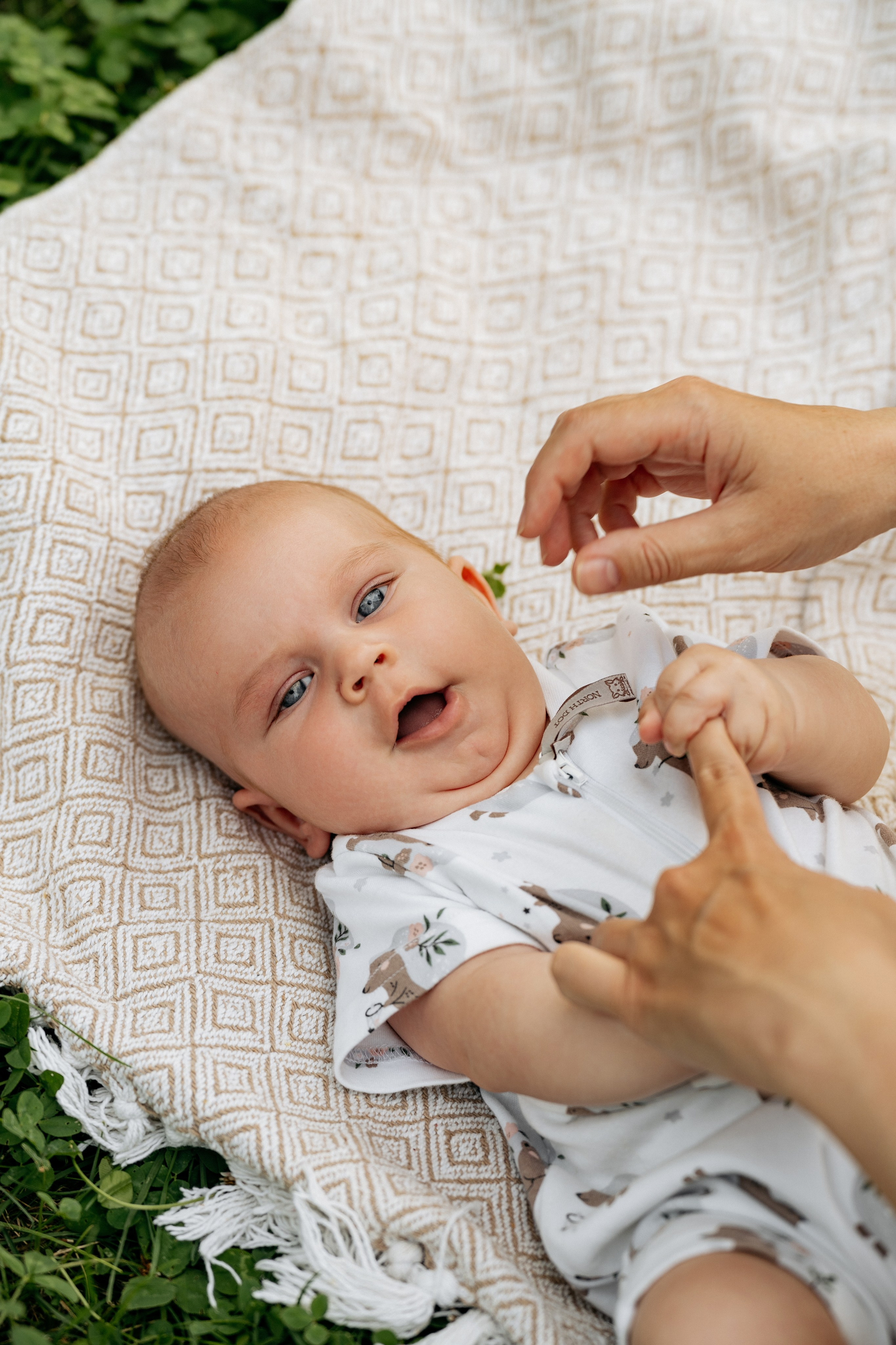 Фотосессия в зеленой зоне Абрау-Дюрсо: родители, подросток и малыш в объятиях природы