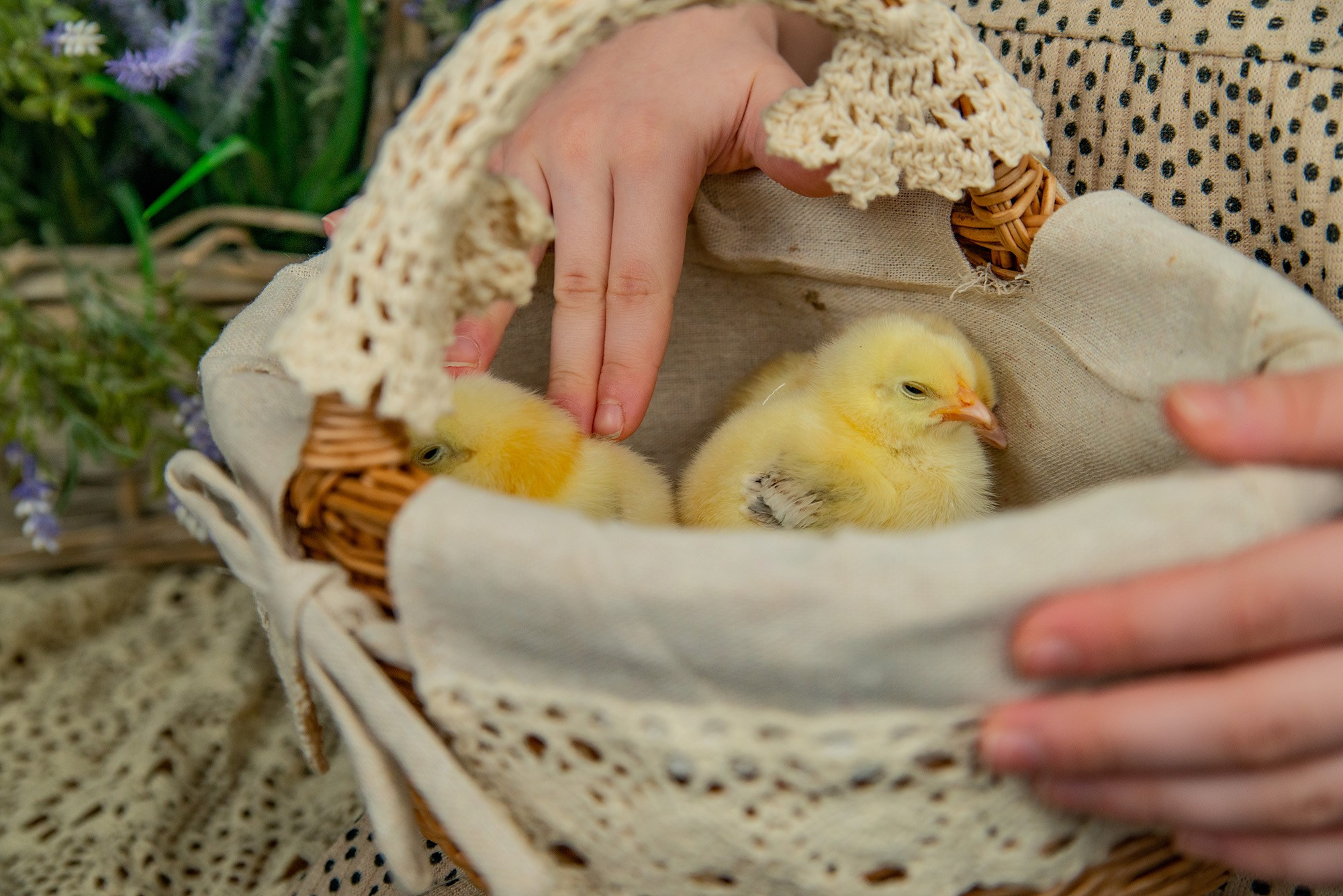 Пасхальные фотодни. Фотограф и дизайнер в Москве Екатерина Лобачева